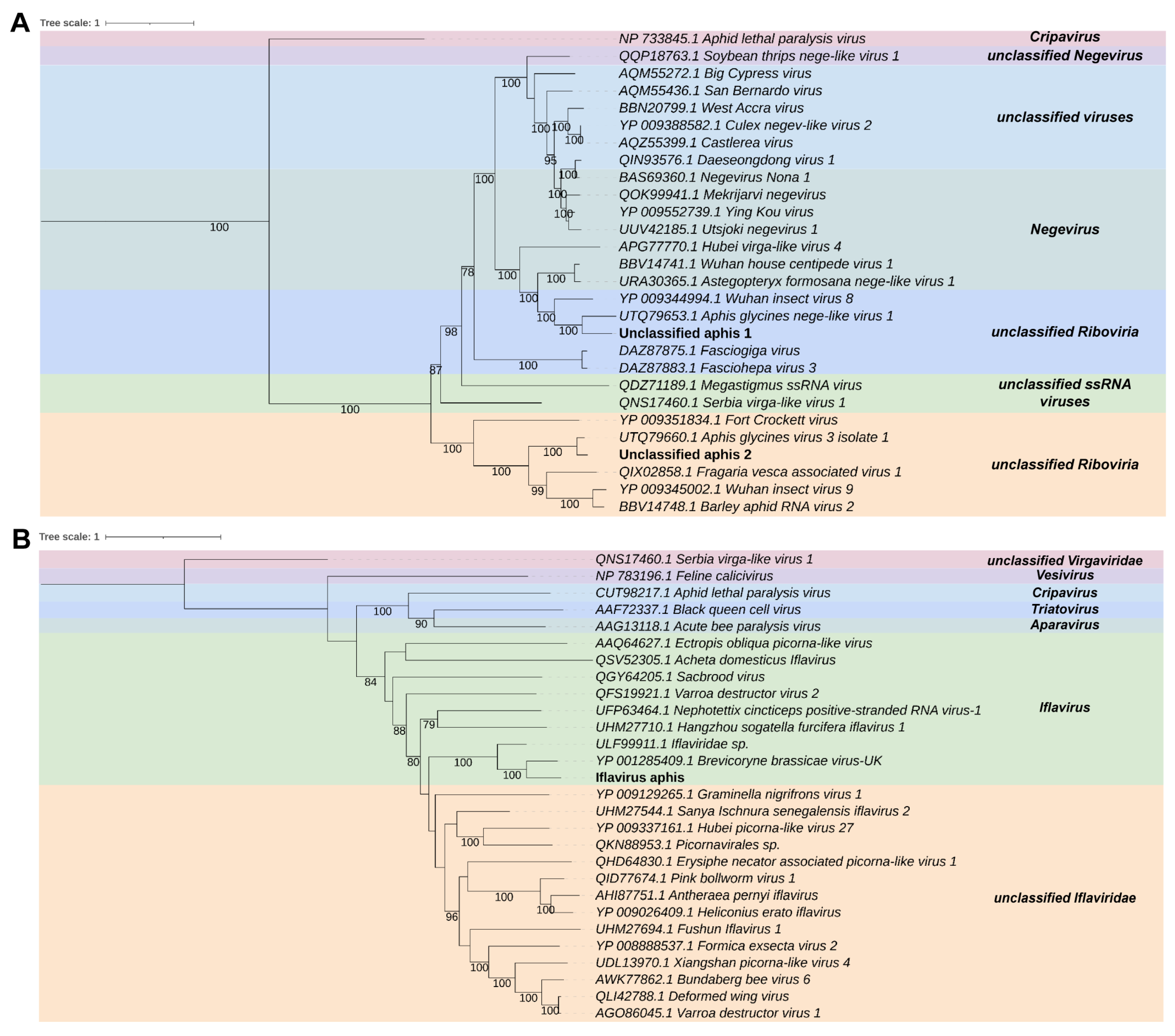 Viruses 15 01850 g003