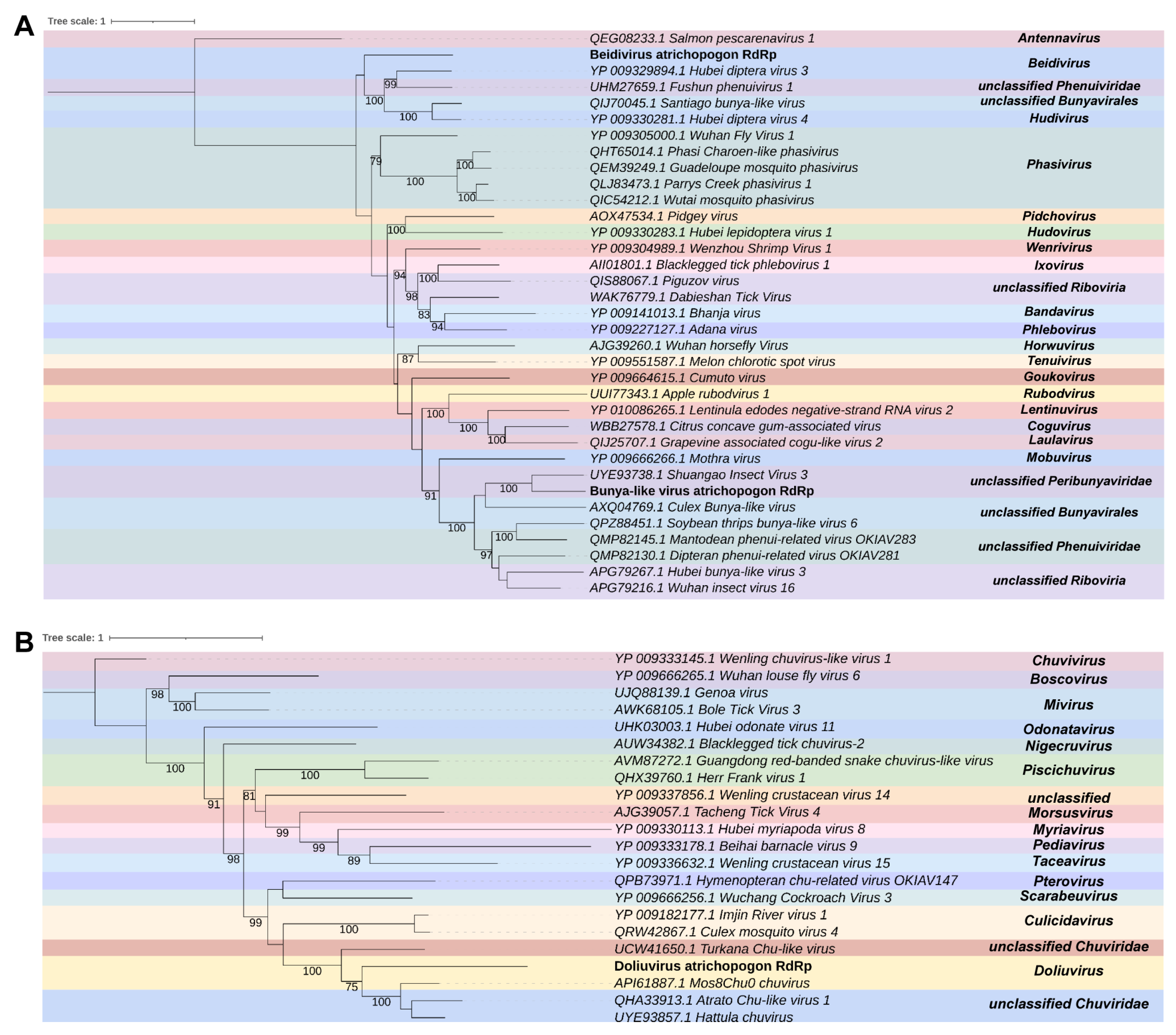 Viruses 15 01850 g004