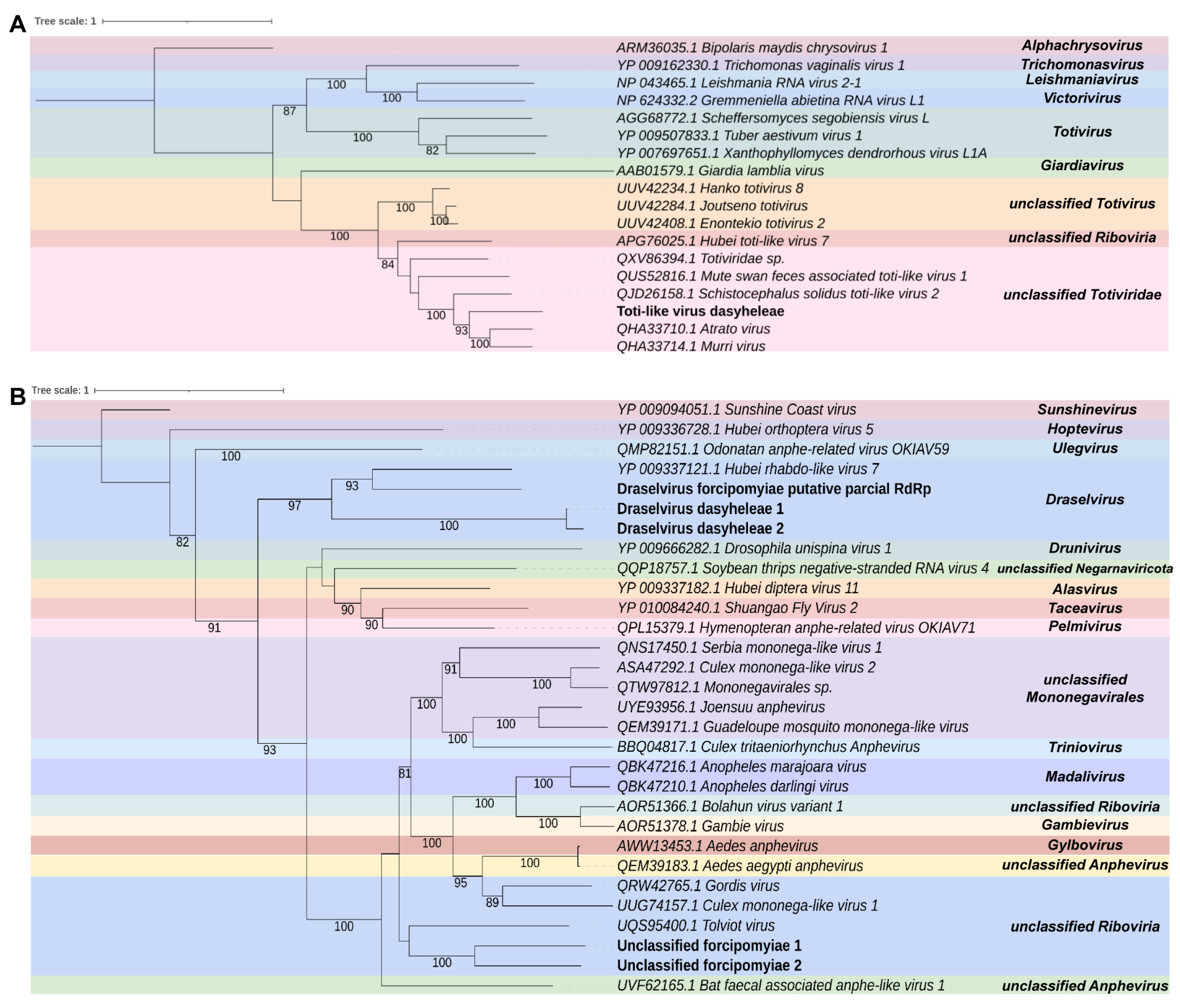 Viruses 15 01850 g005