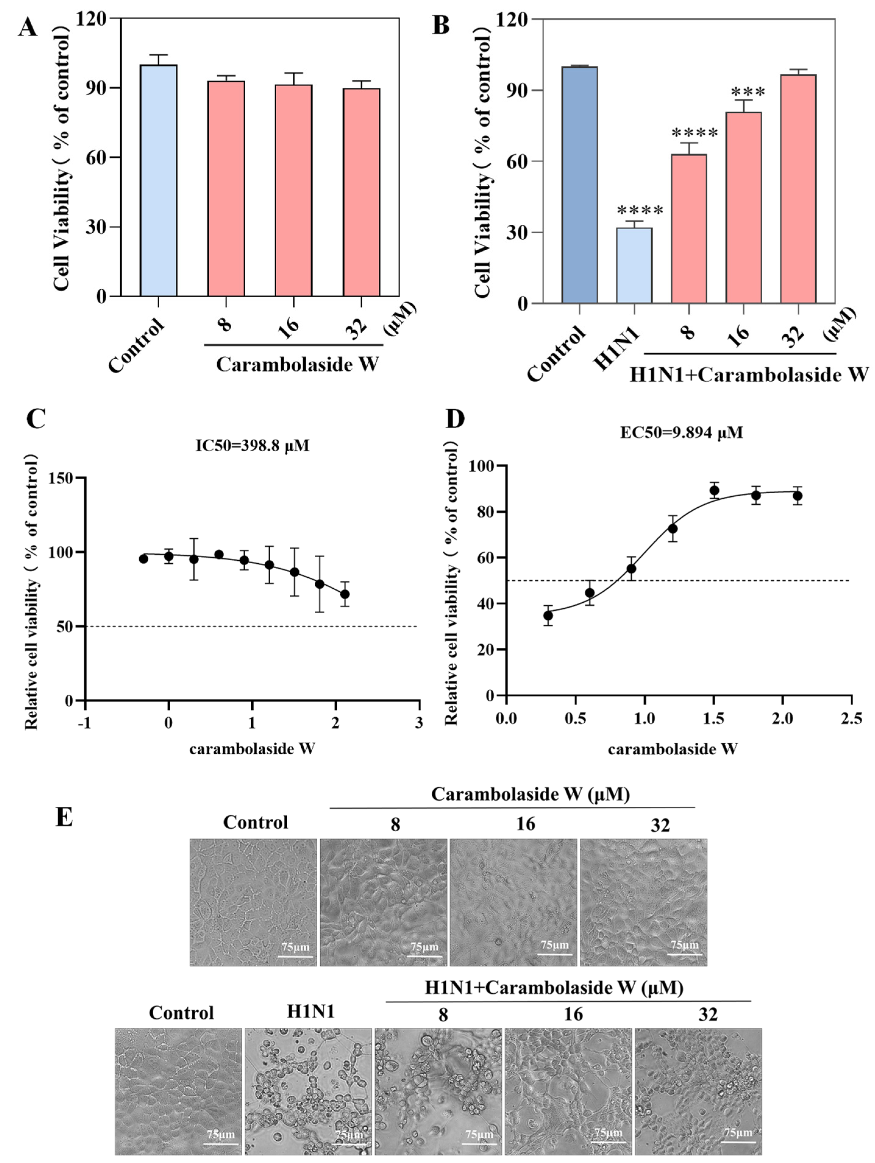 Viruses 15 01858 g003