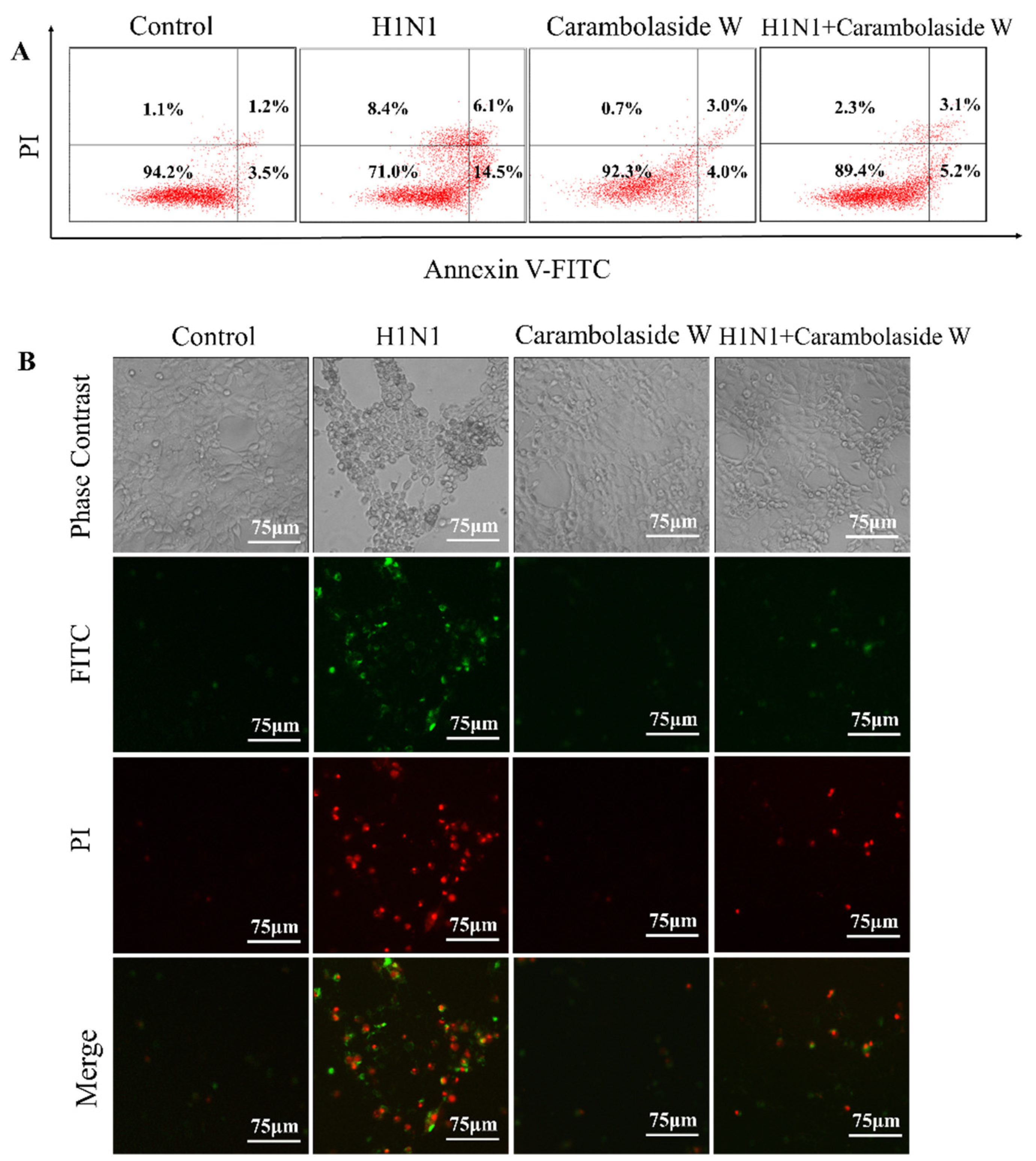 Viruses 15 01858 g004