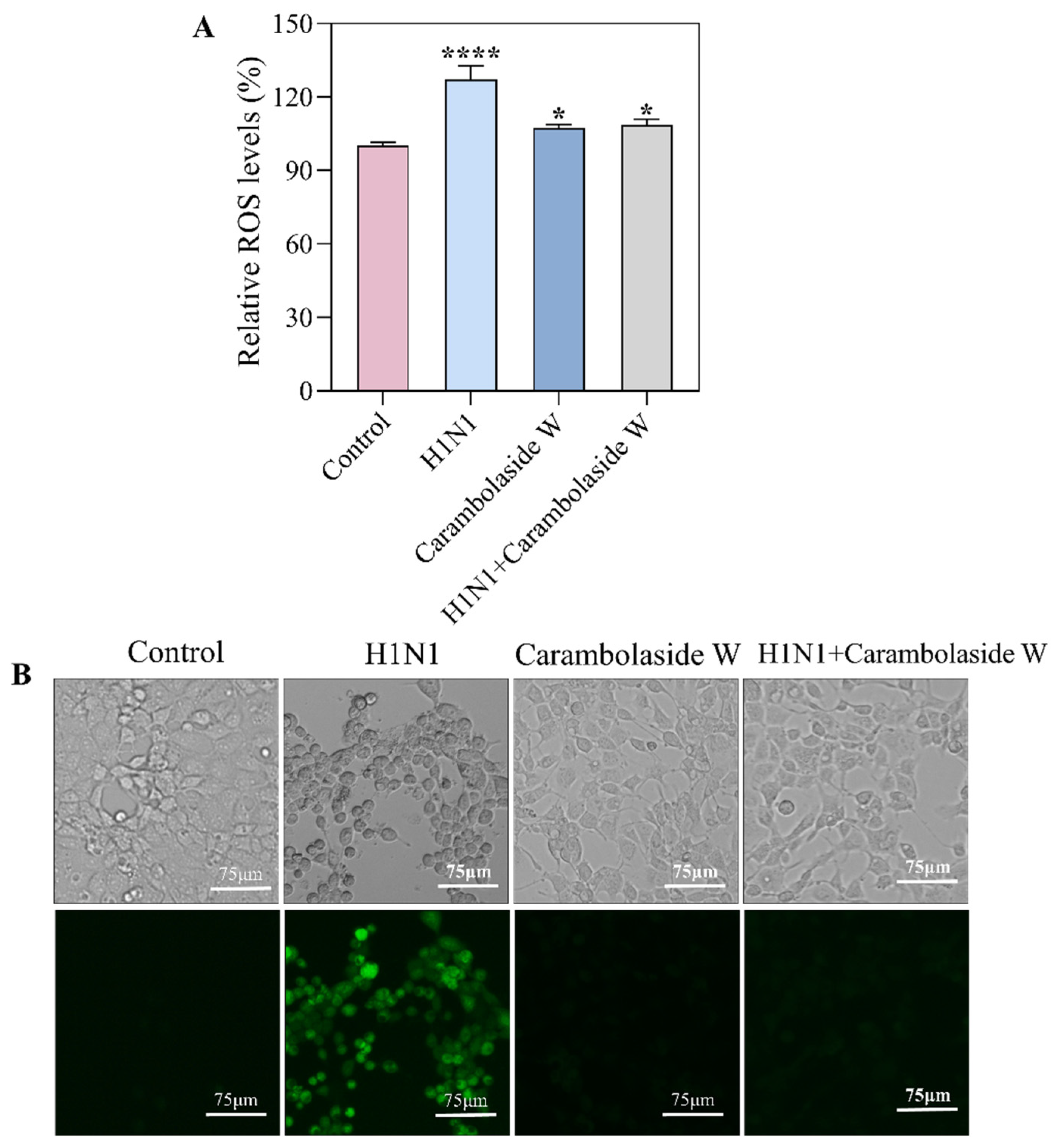 Viruses 15 01858 g007