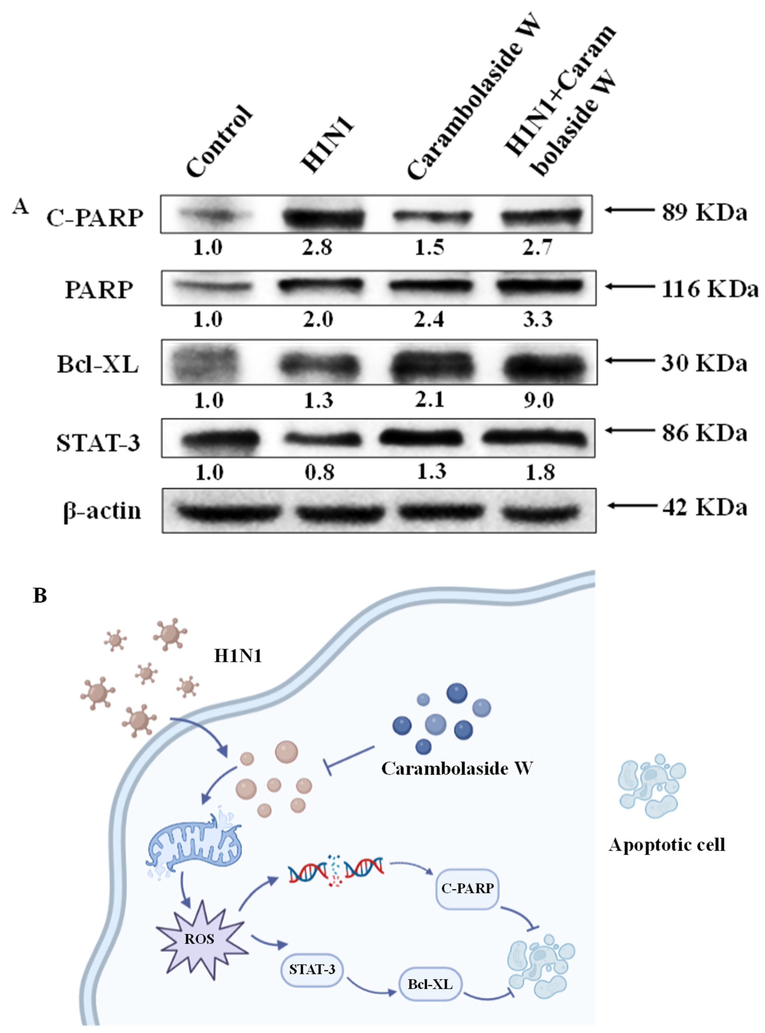 Viruses 15 01858 g008