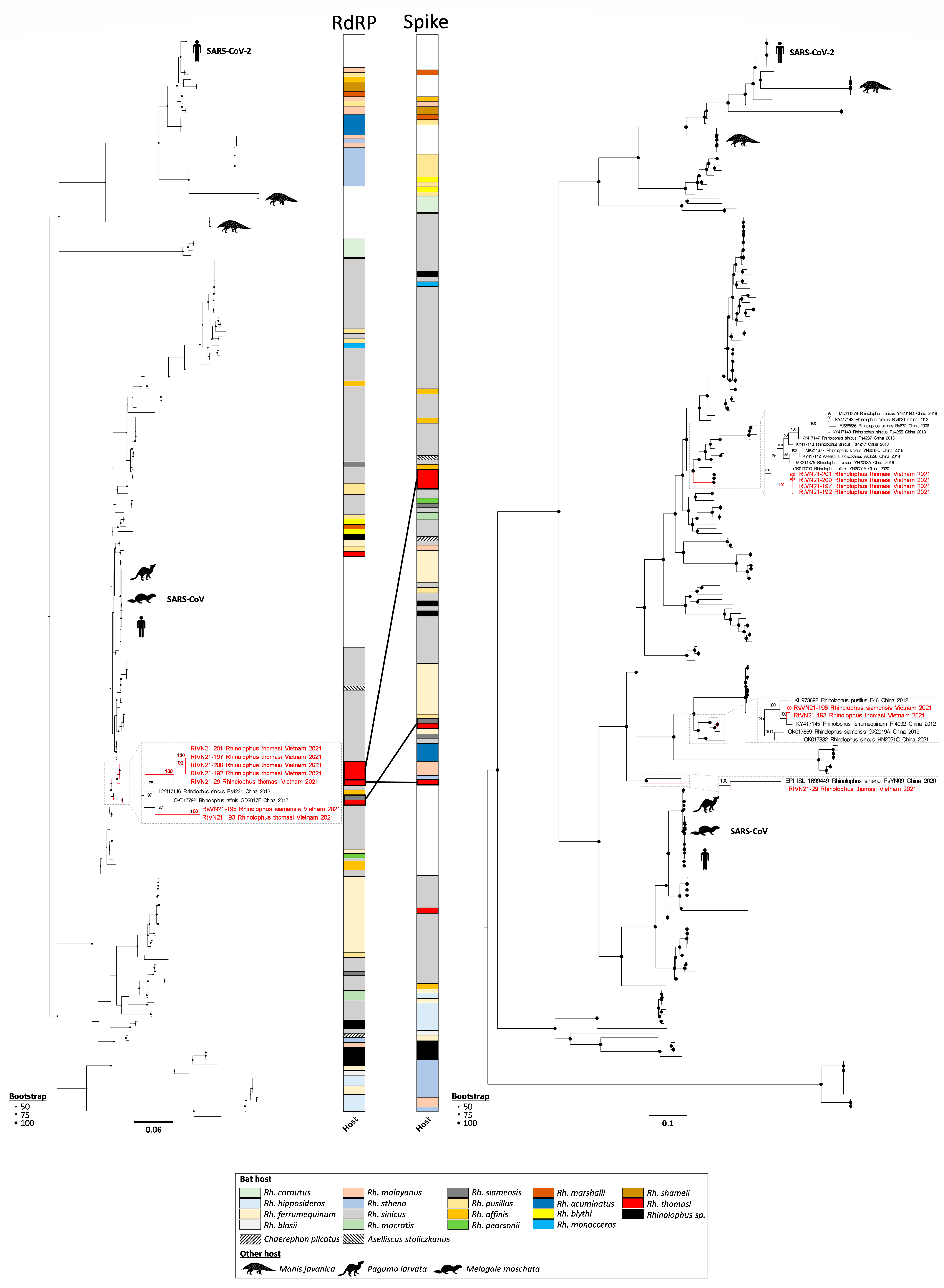 Viruses 15 01897 g004