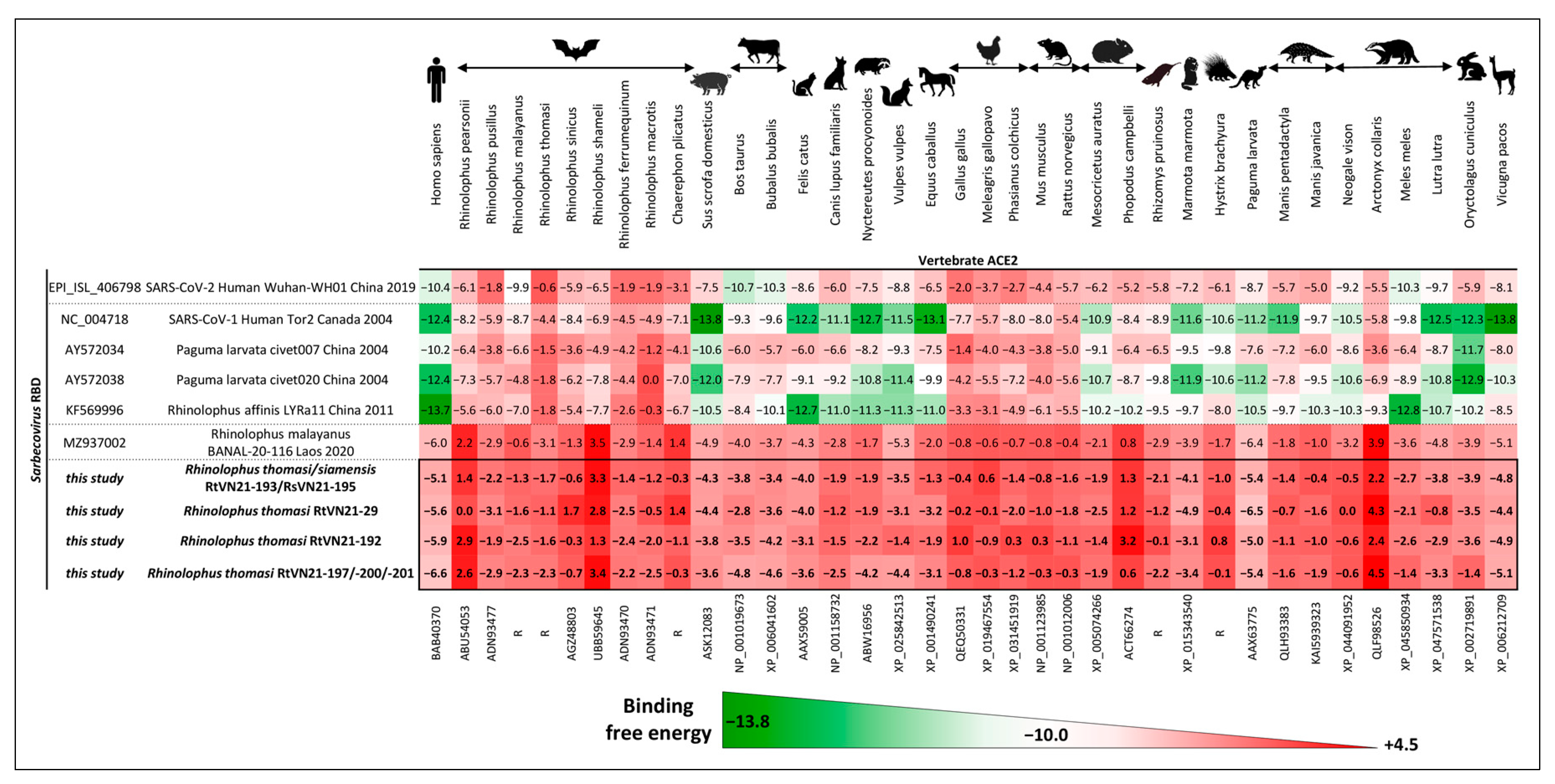 Viruses 15 01897 g005
