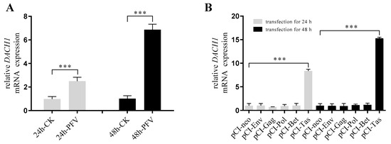 SUMO-2/3 siRNA (h), shRNA and Lentiviral Particle Gene Silencers