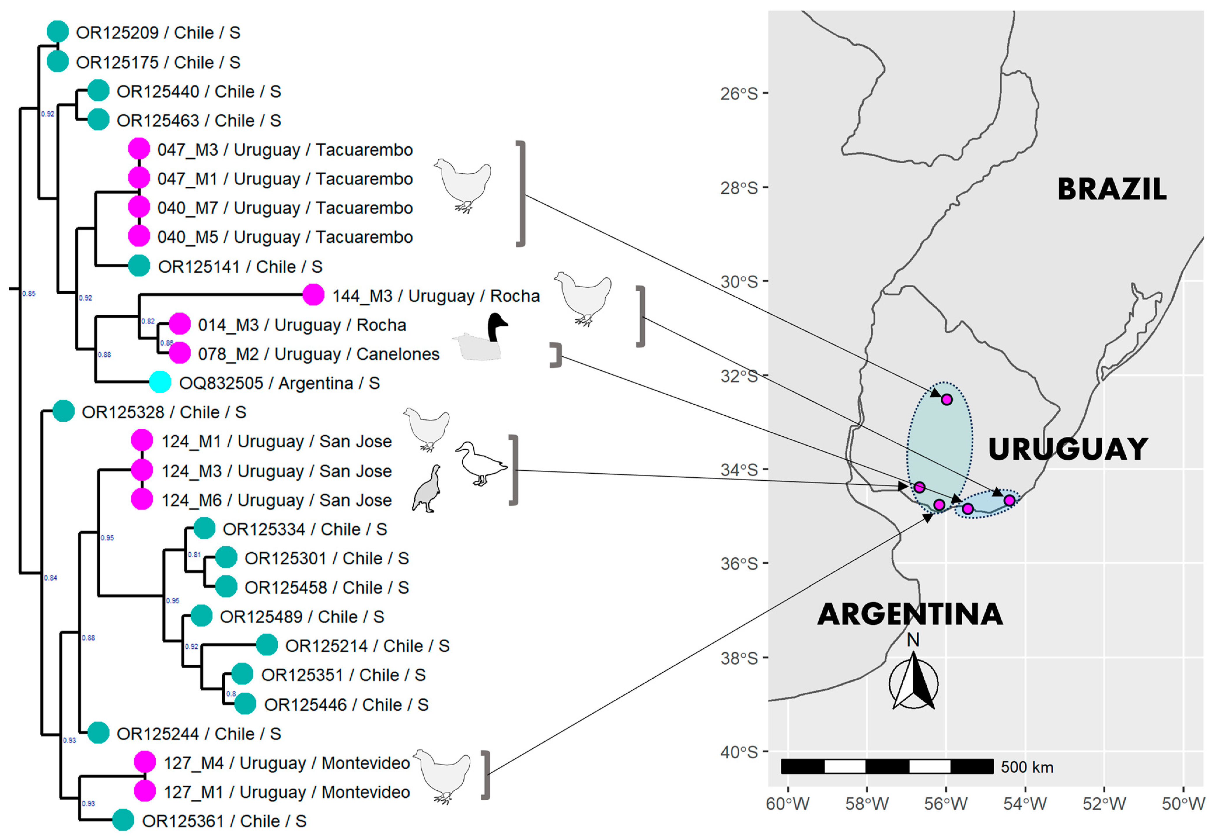 Viruses 15 01906 g002