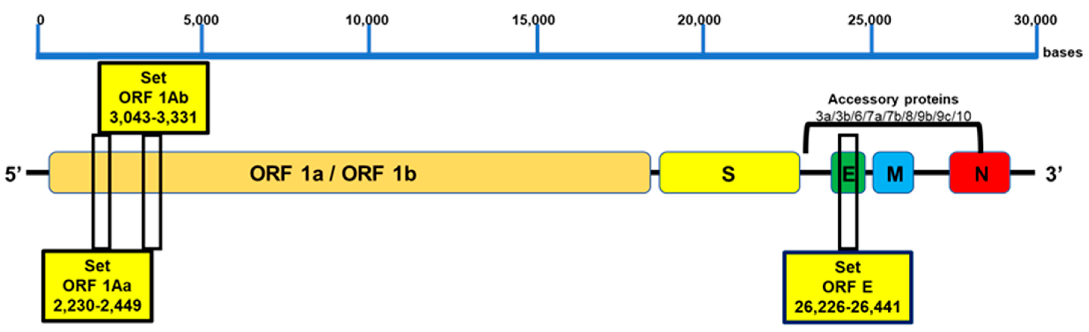 Viruses 15 01910 g001