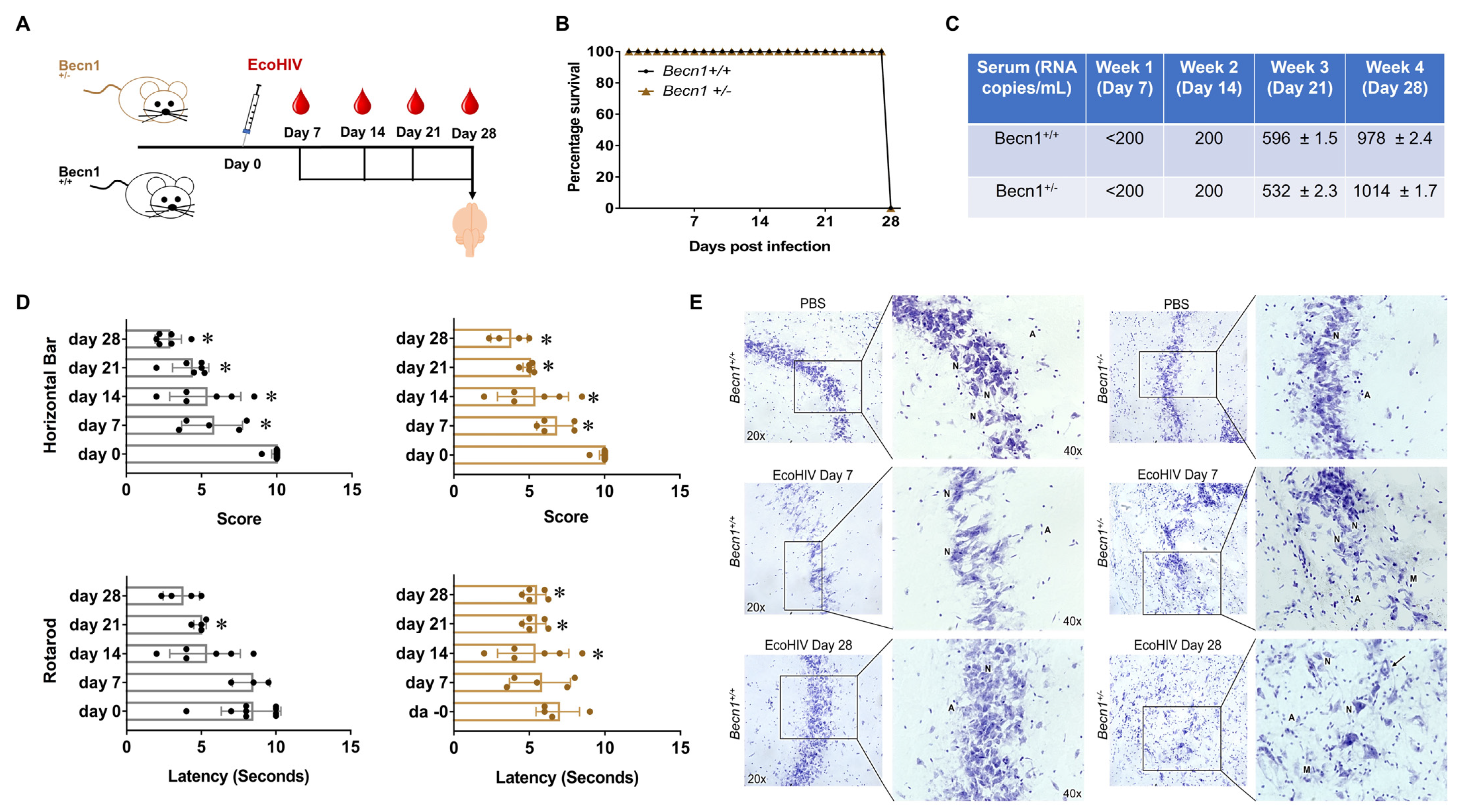 Viruses 15 01923 g003