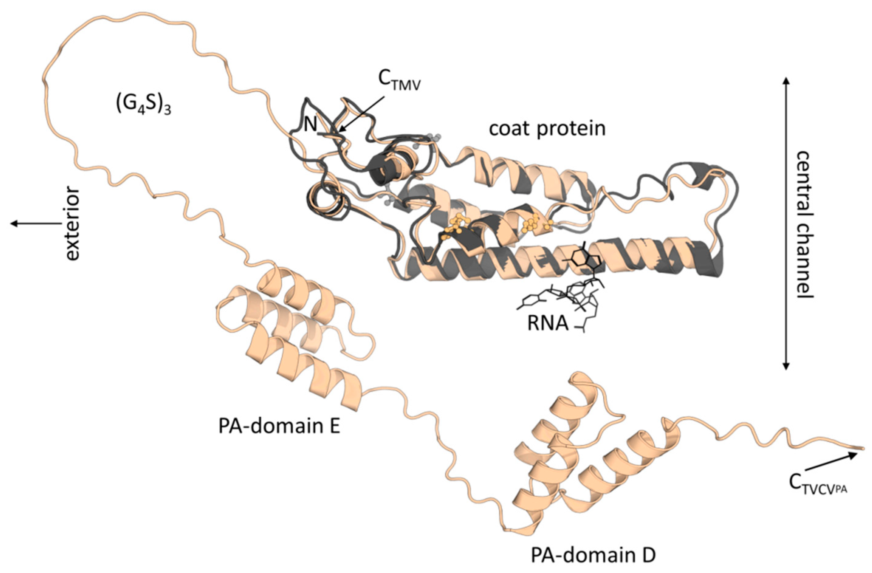 Viruses 15 01951 g001