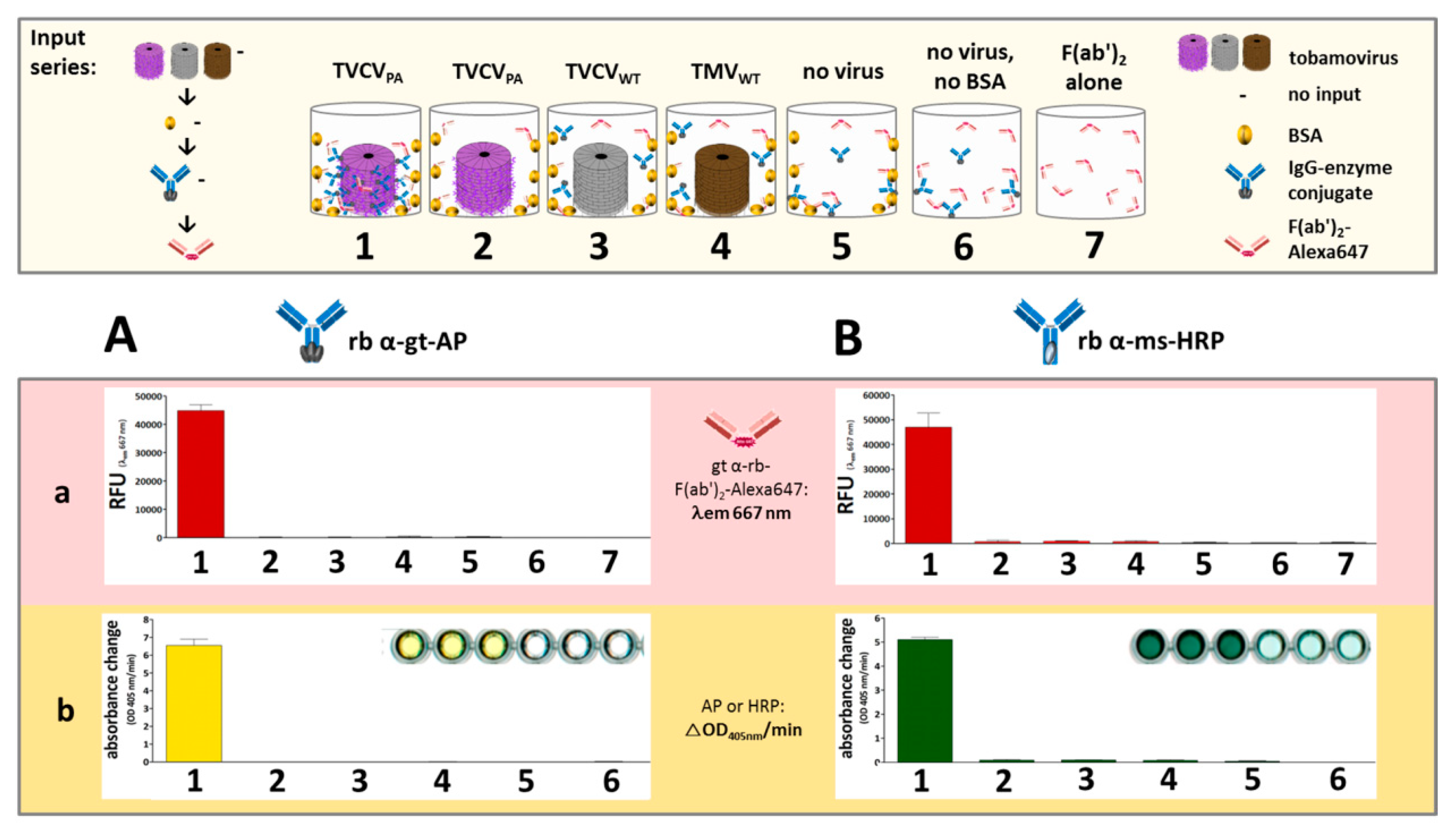 Viruses 15 01951 g006