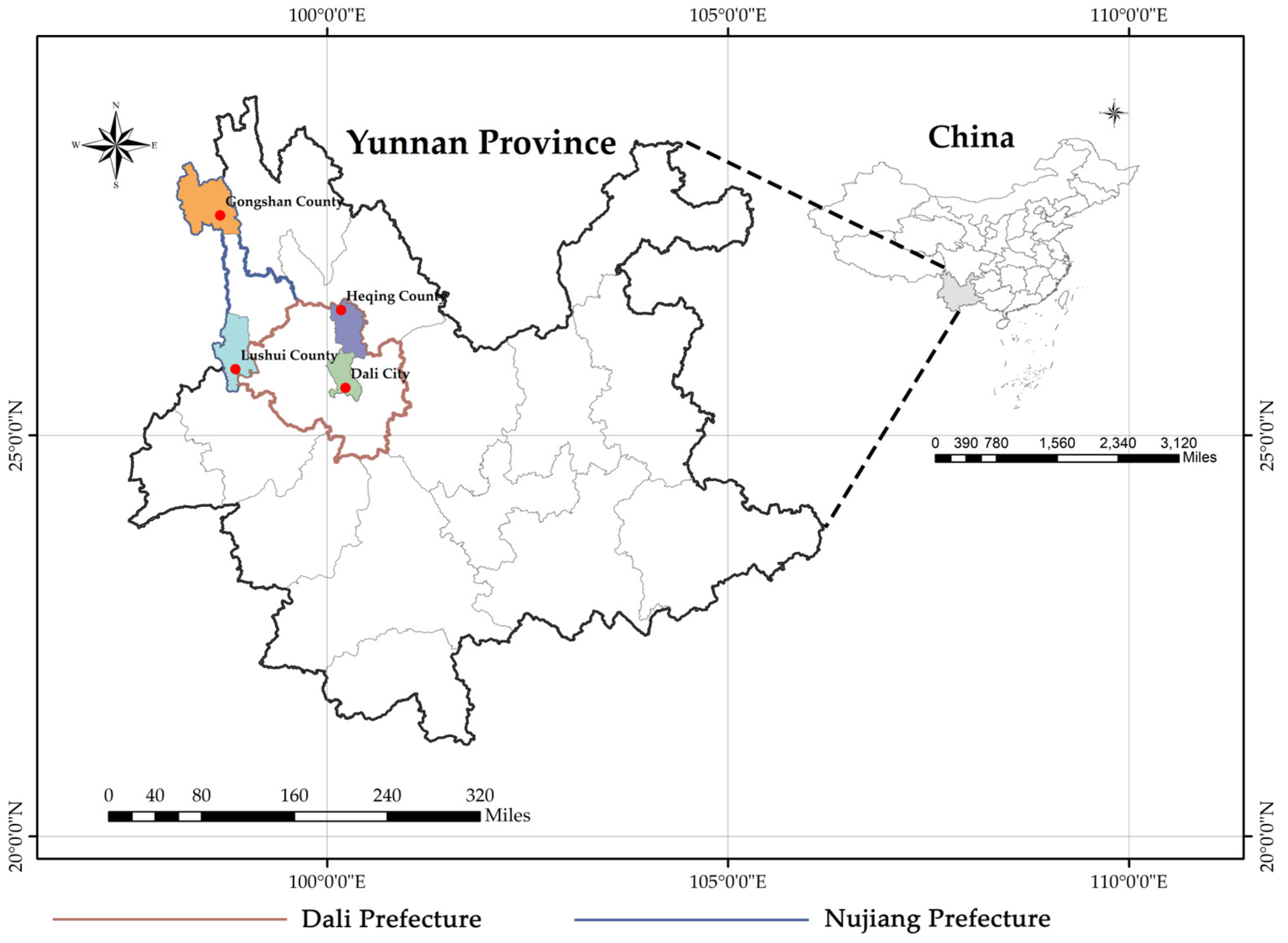 Viruses 15 01965 g001