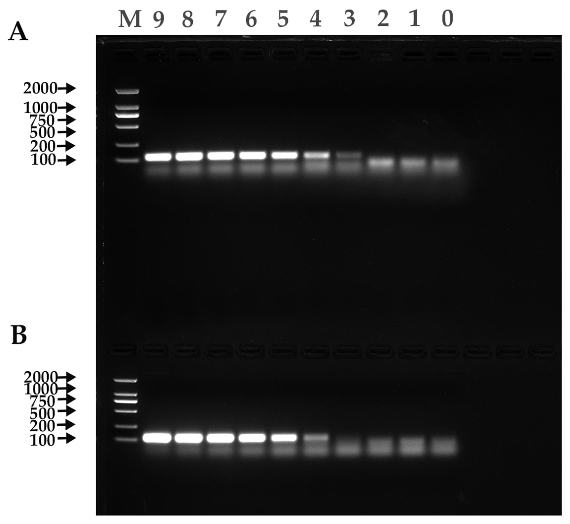 Viruses 15 01965 g005