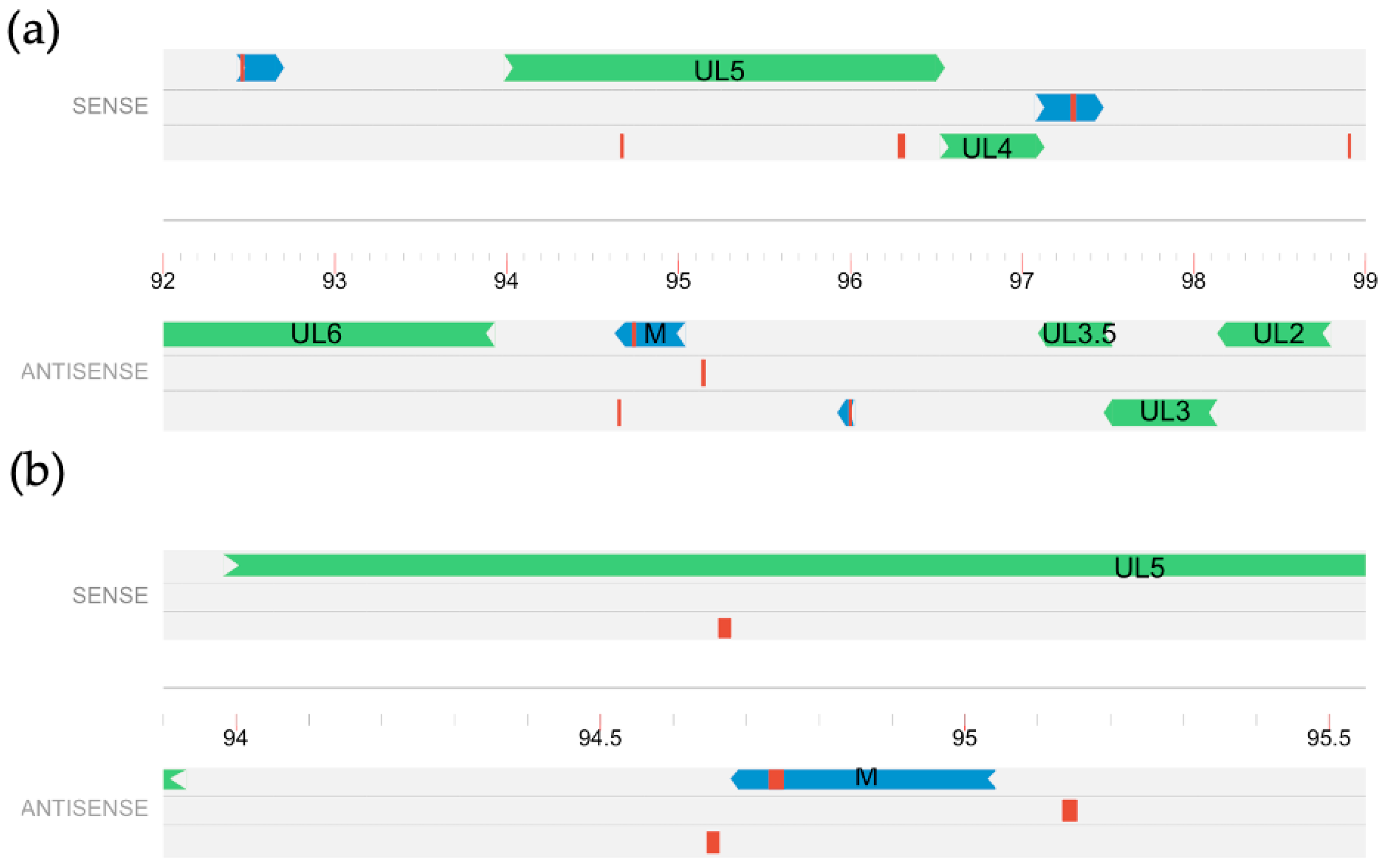 Banfield Res. Table, Stats and Fixtures - Argentina