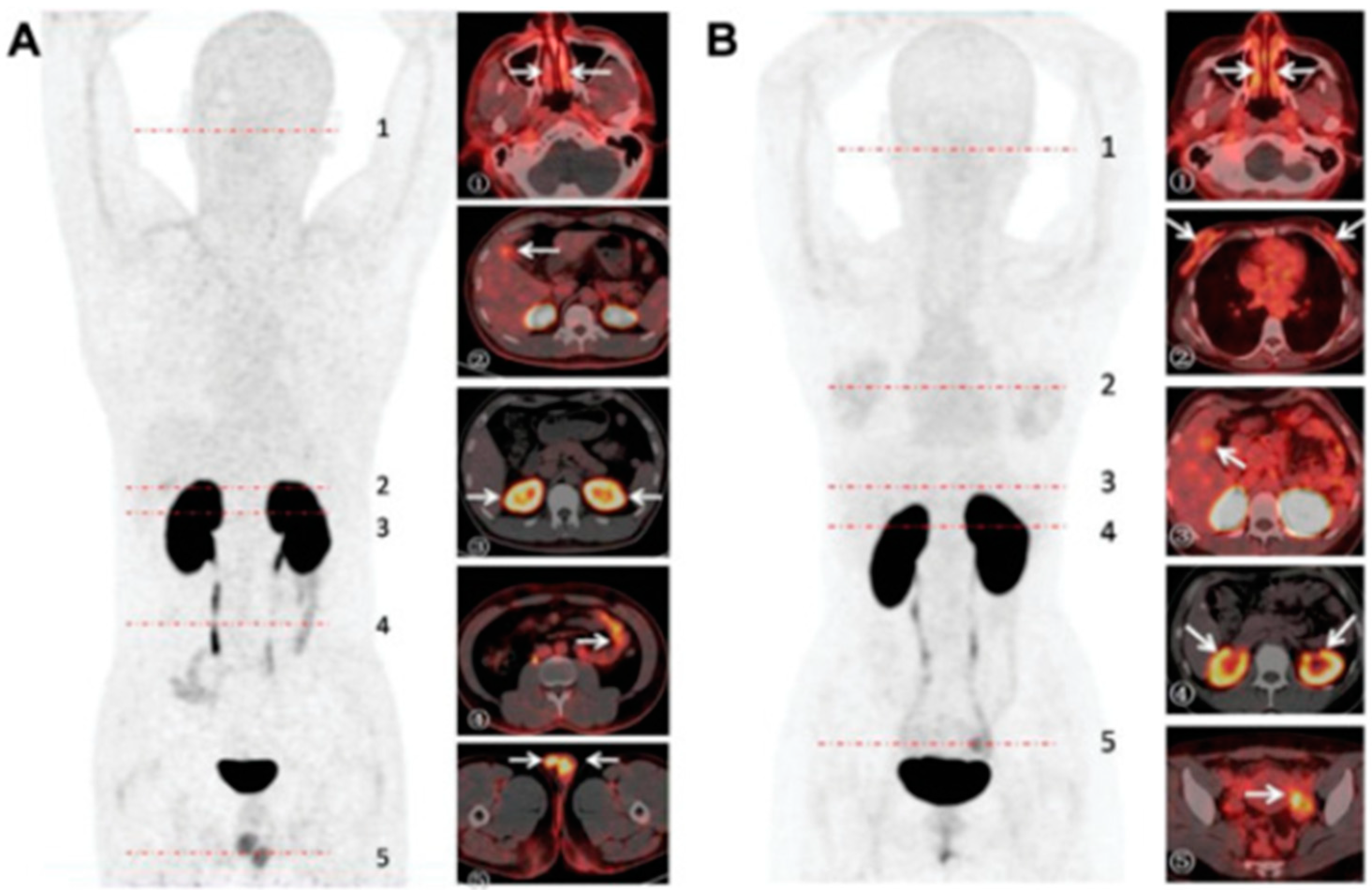 Viruses 15 01982 g003