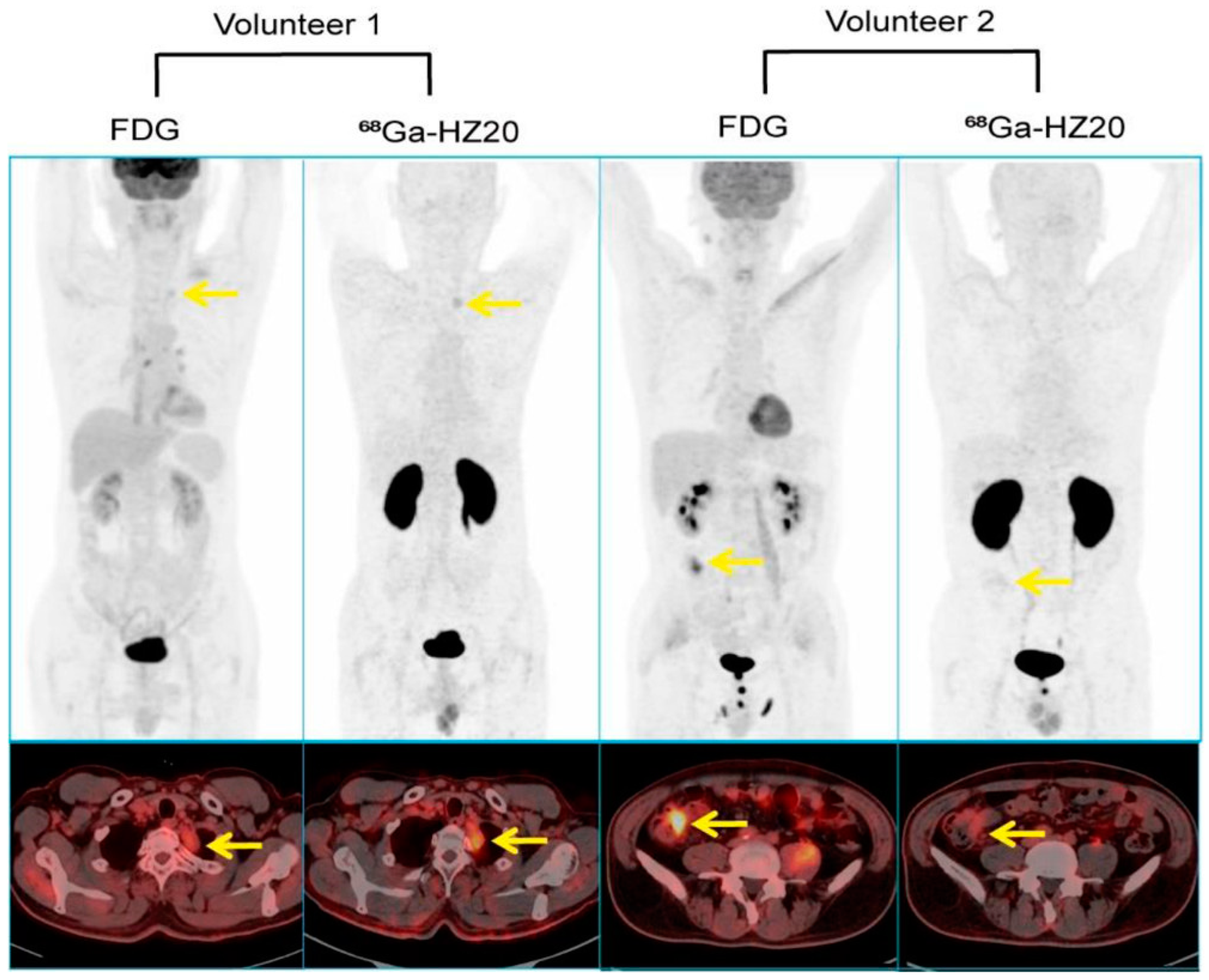 Viruses 15 01982 g004