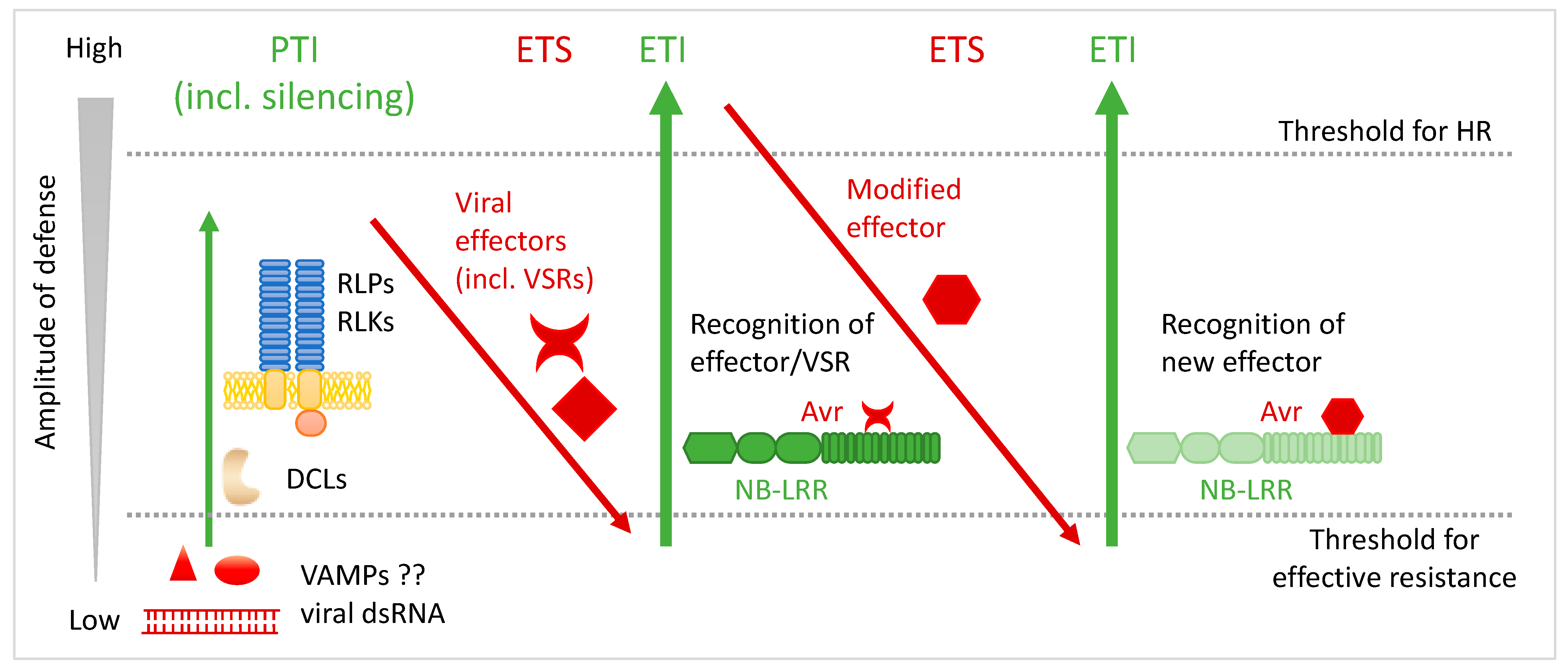 Viruses 15 02000 g002