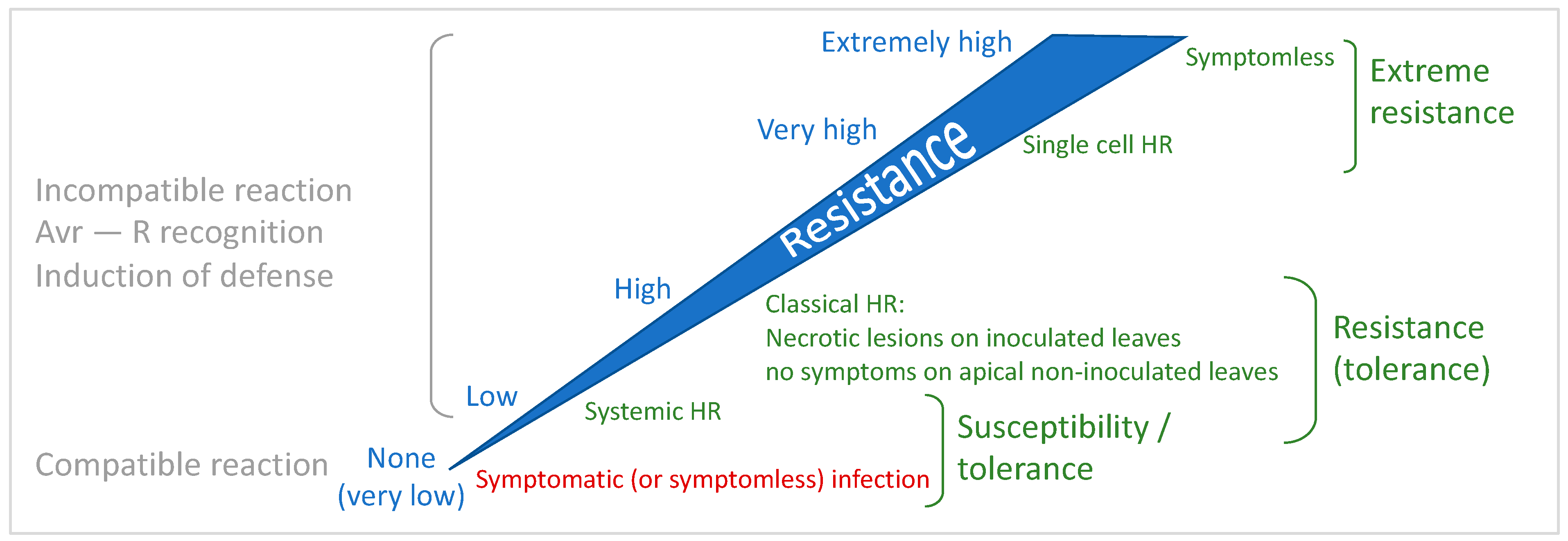 Viruses 15 02000 g005