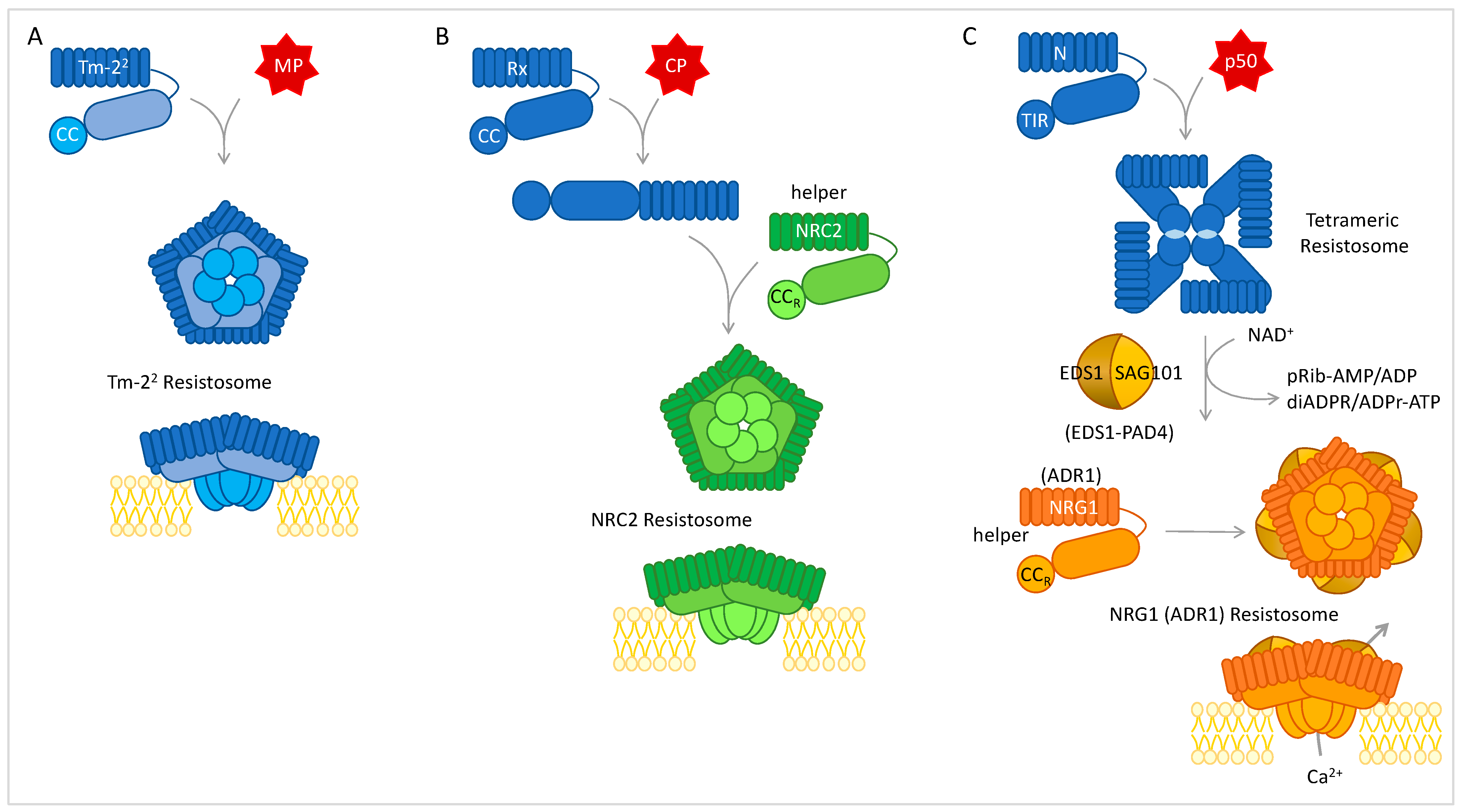 Viruses 15 02000 g006
