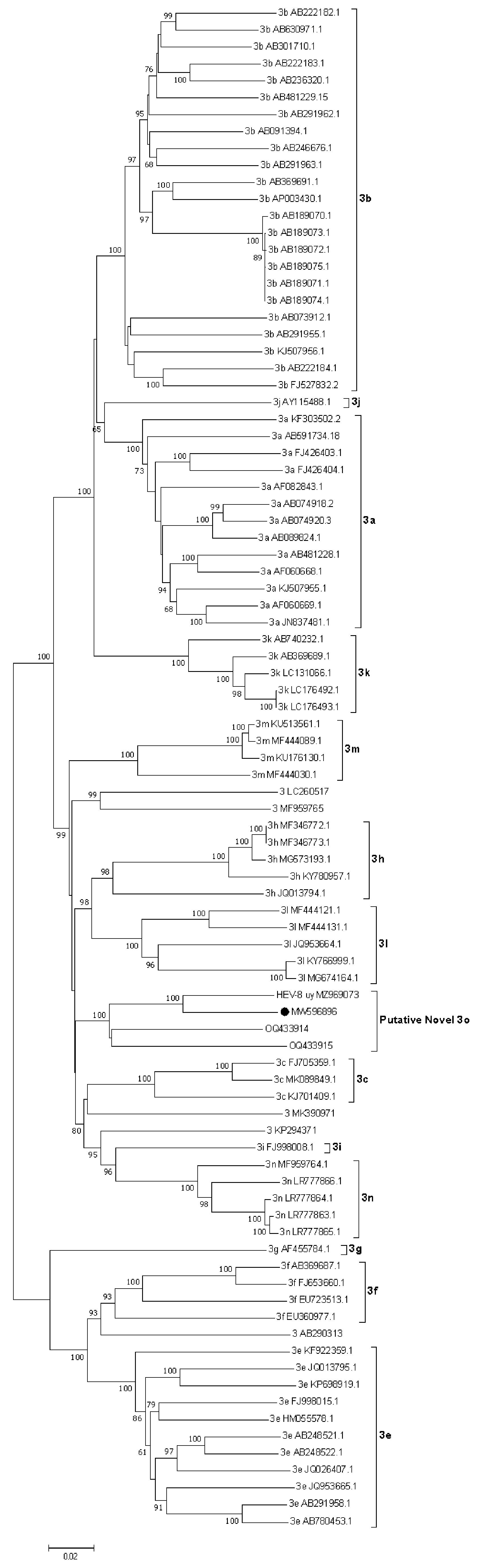 Viruses 15 02006 g002