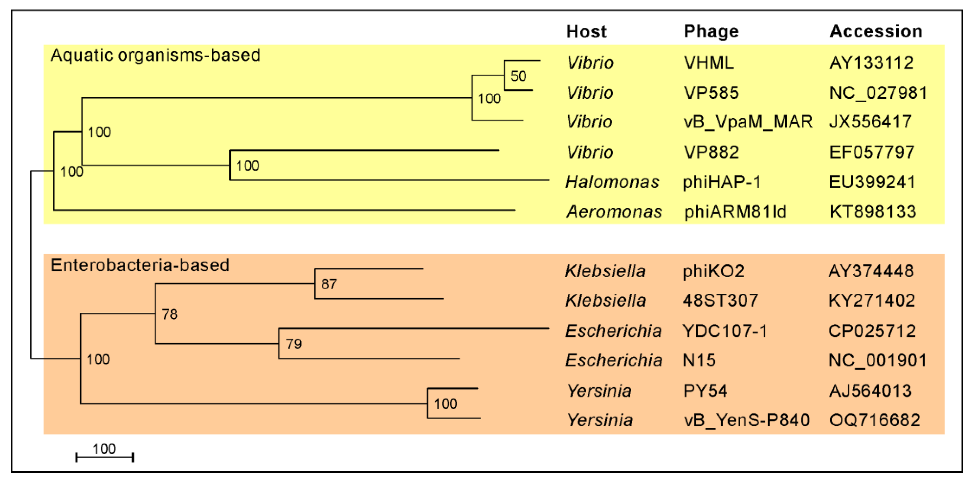 Viruses 15 02019 g002