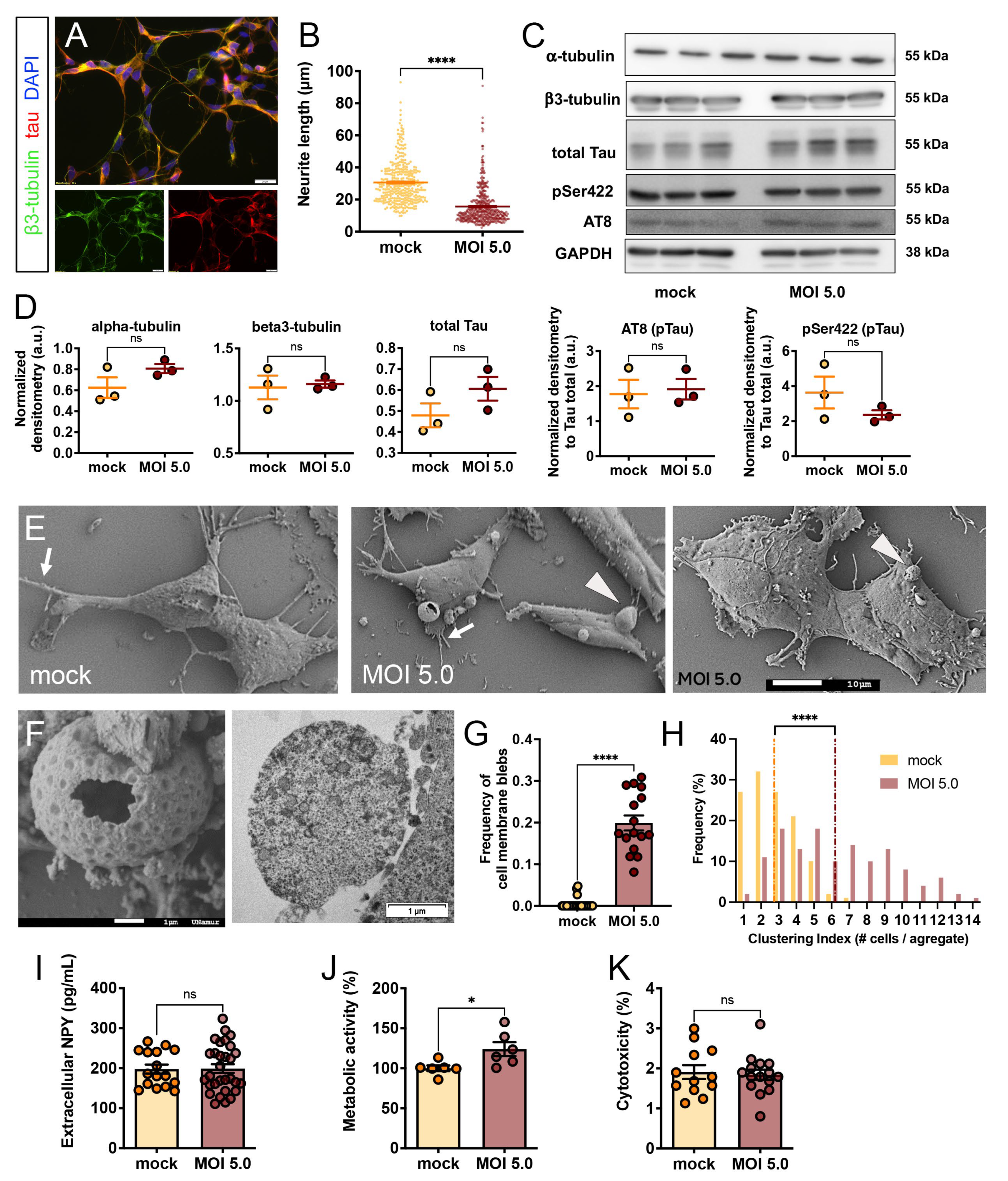 Viruses 15 02020 g002