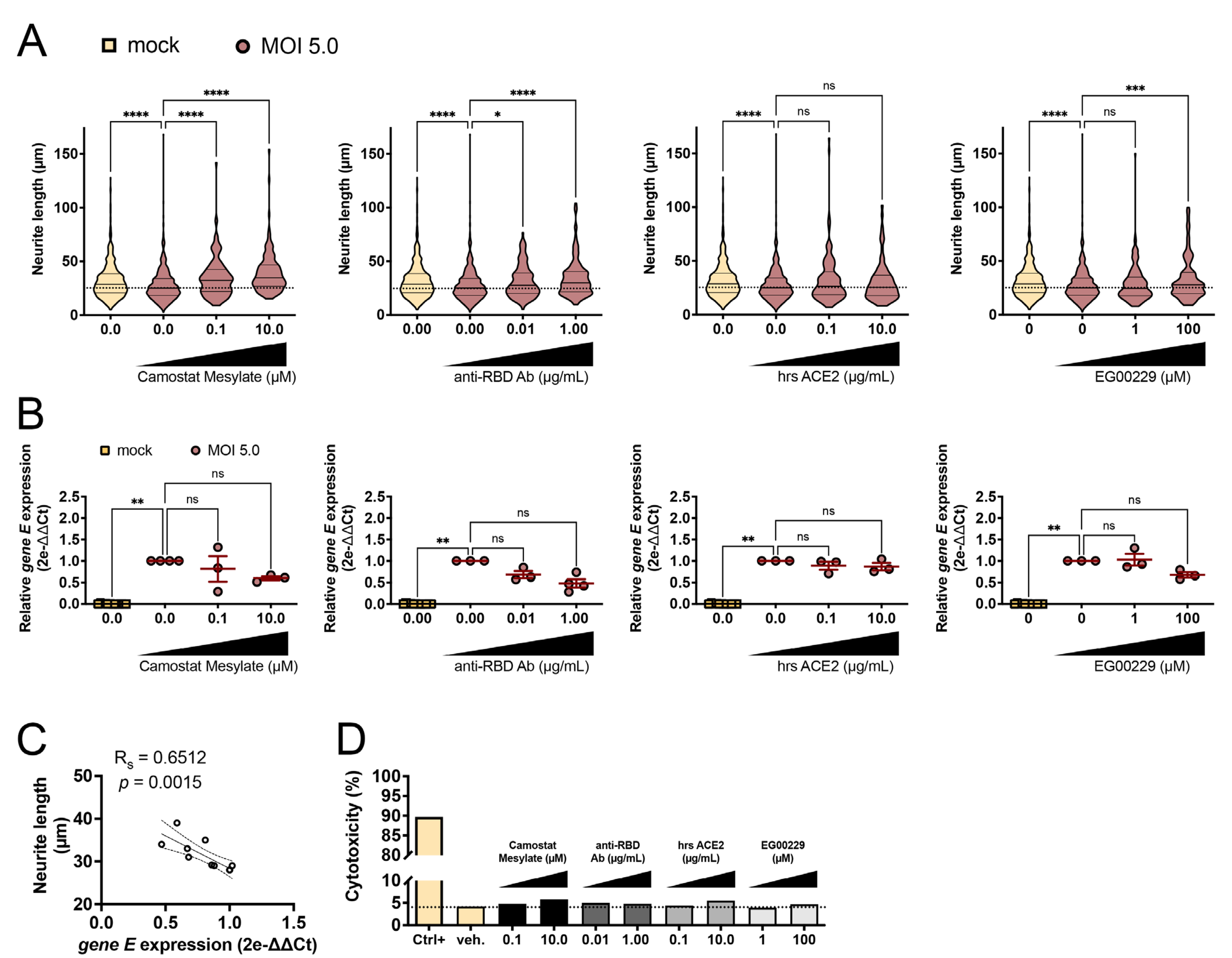 Viruses 15 02020 g003