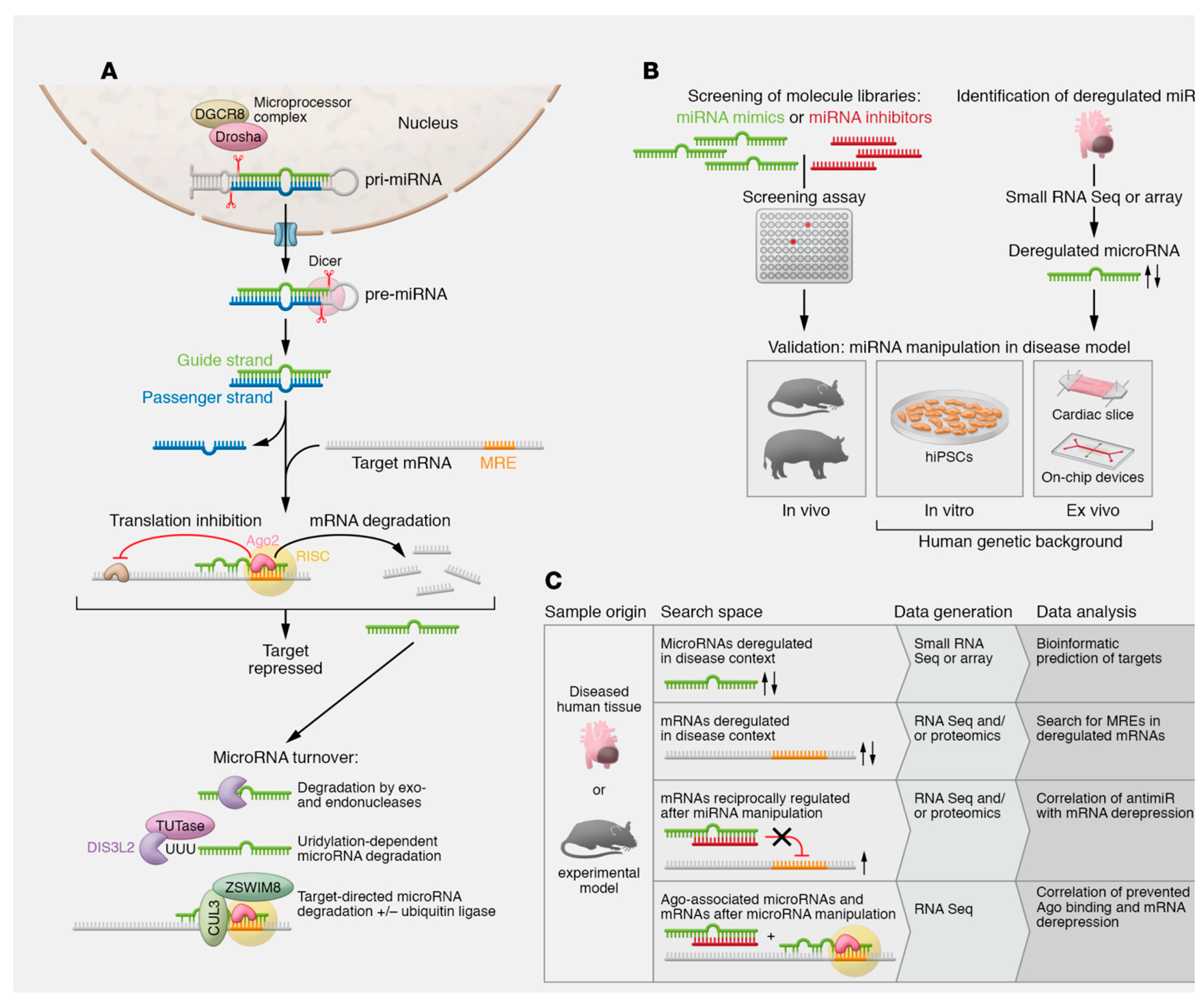 Viruses 15 02027 g002