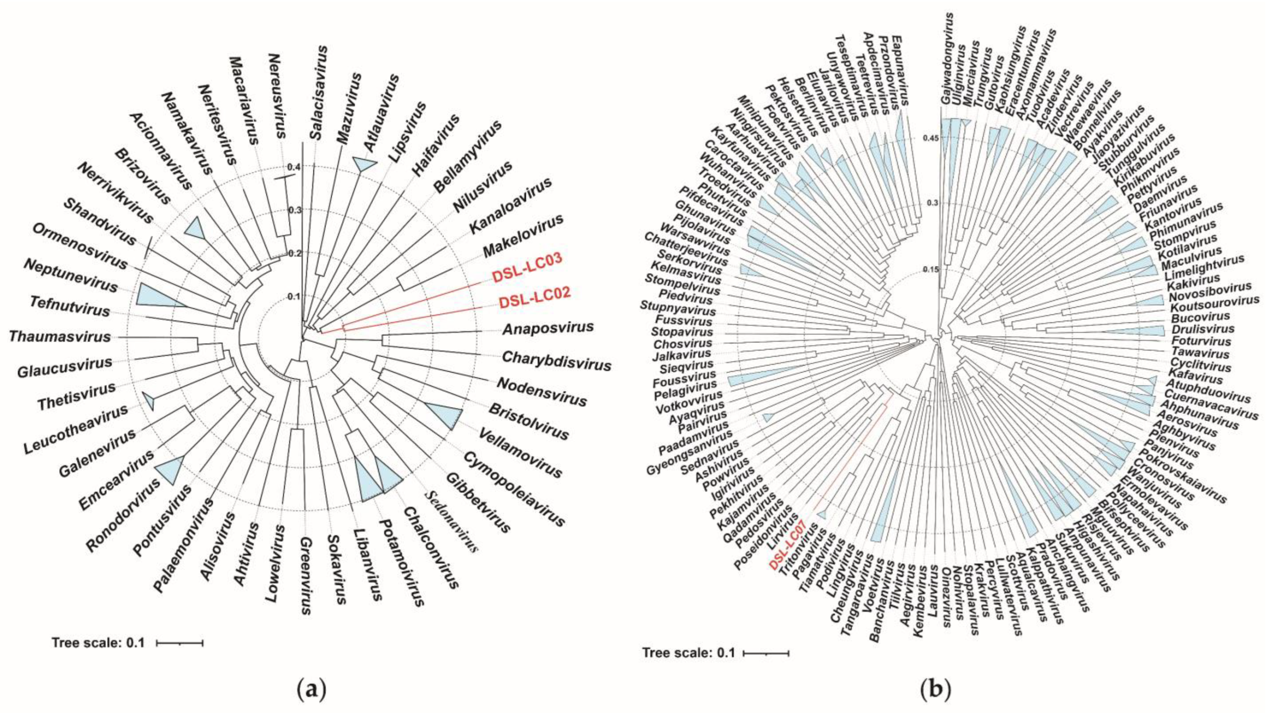 Viruses 15 02038 g004