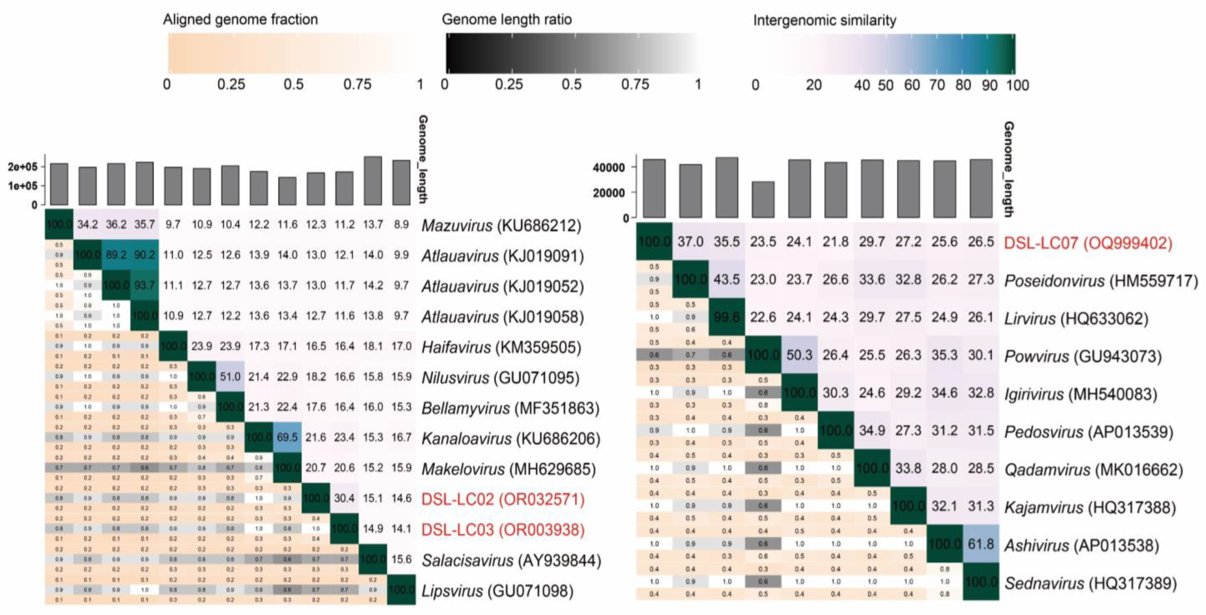 Viruses 15 02038 g006