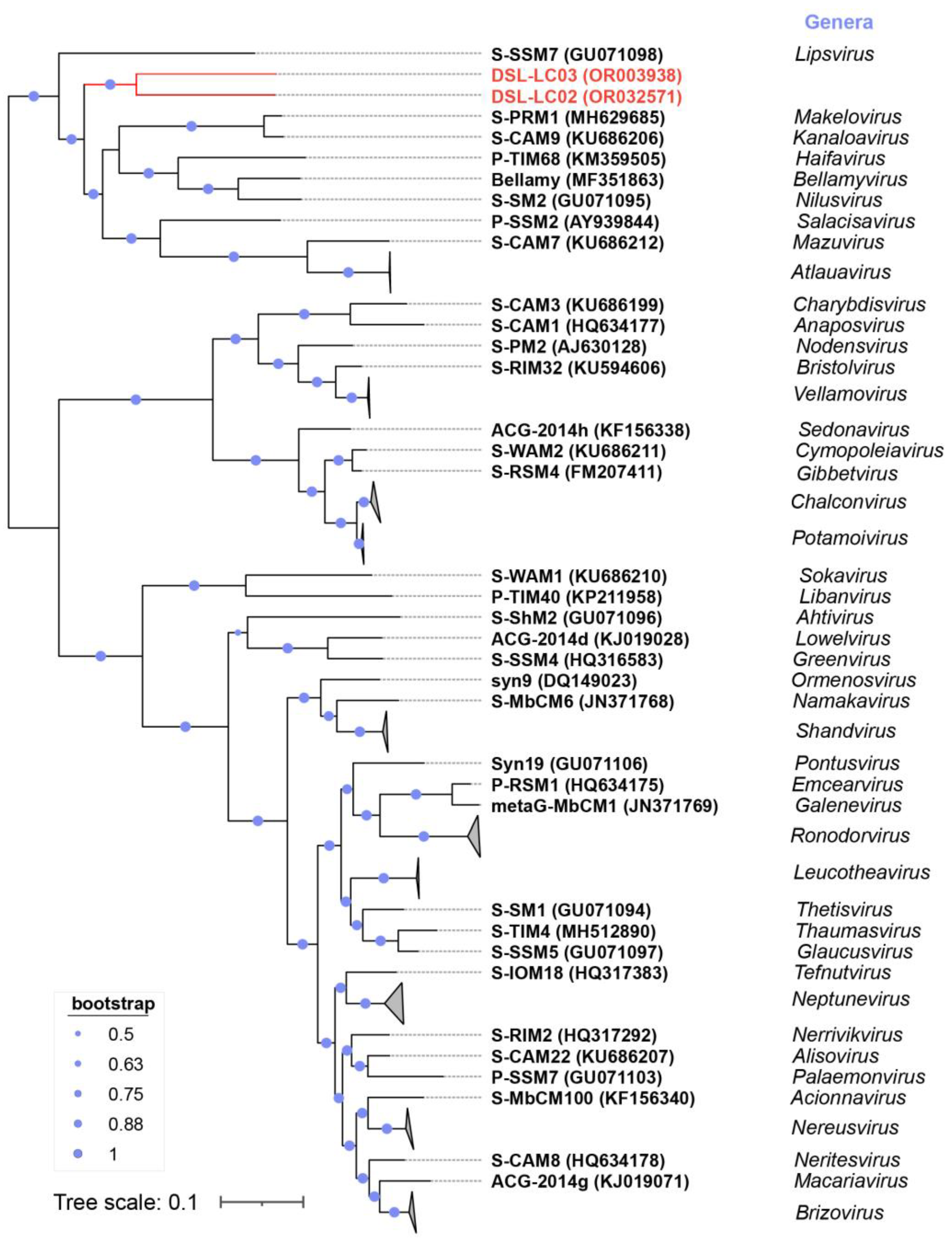 Viruses 15 02038 g007