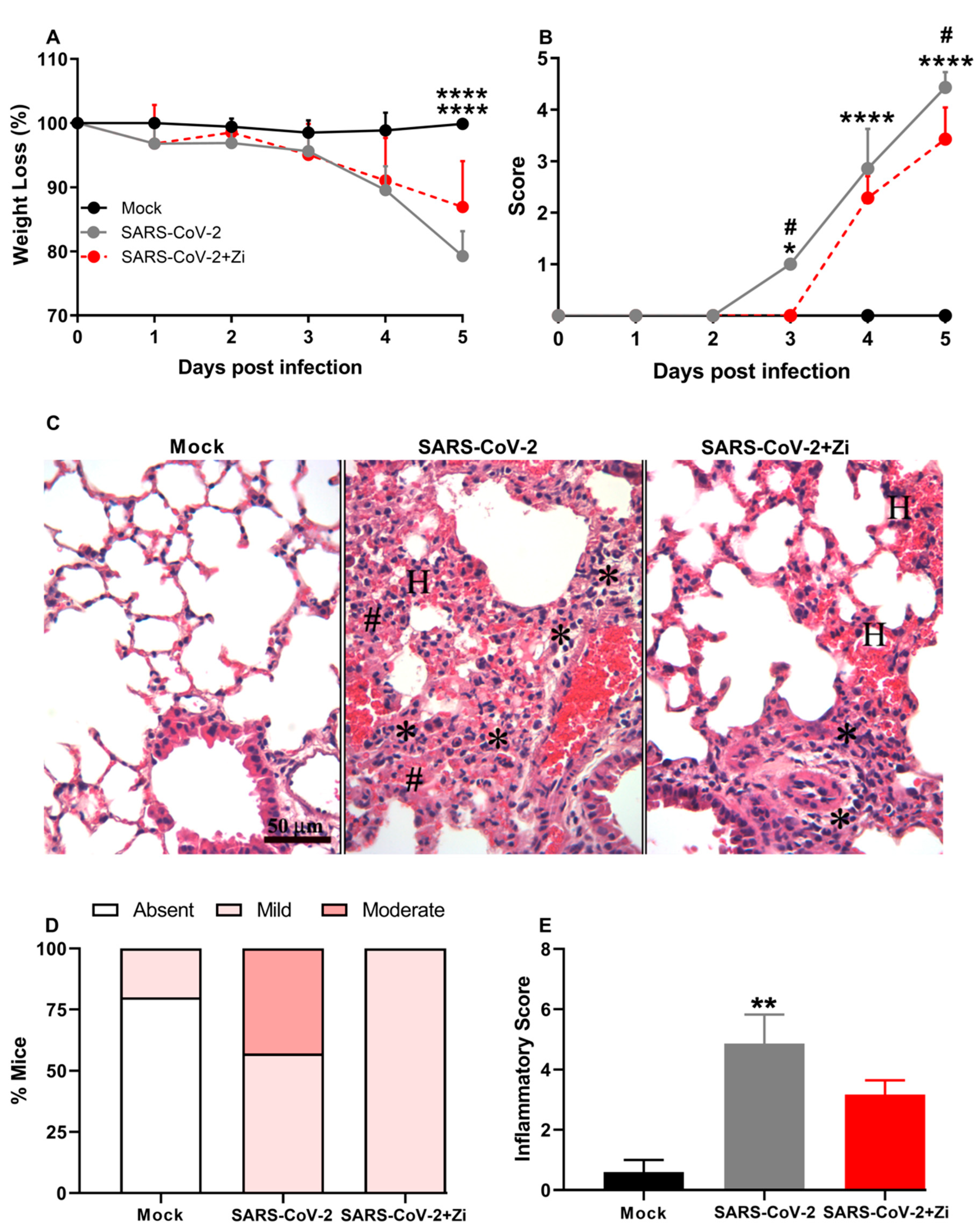 Viruses 15 02049 g008