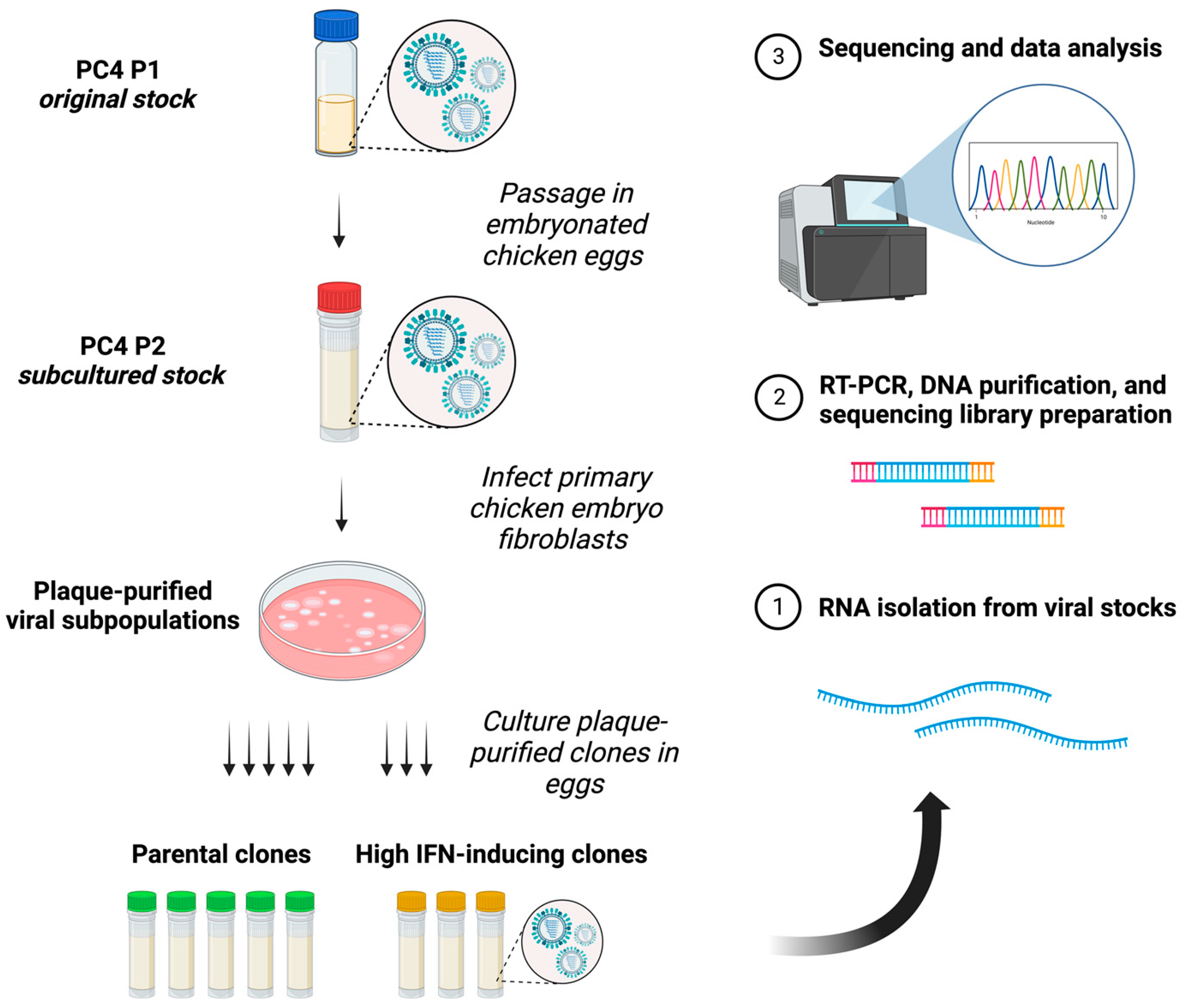 Viruses 15 02107 g003 Viruses 15 02107 g003