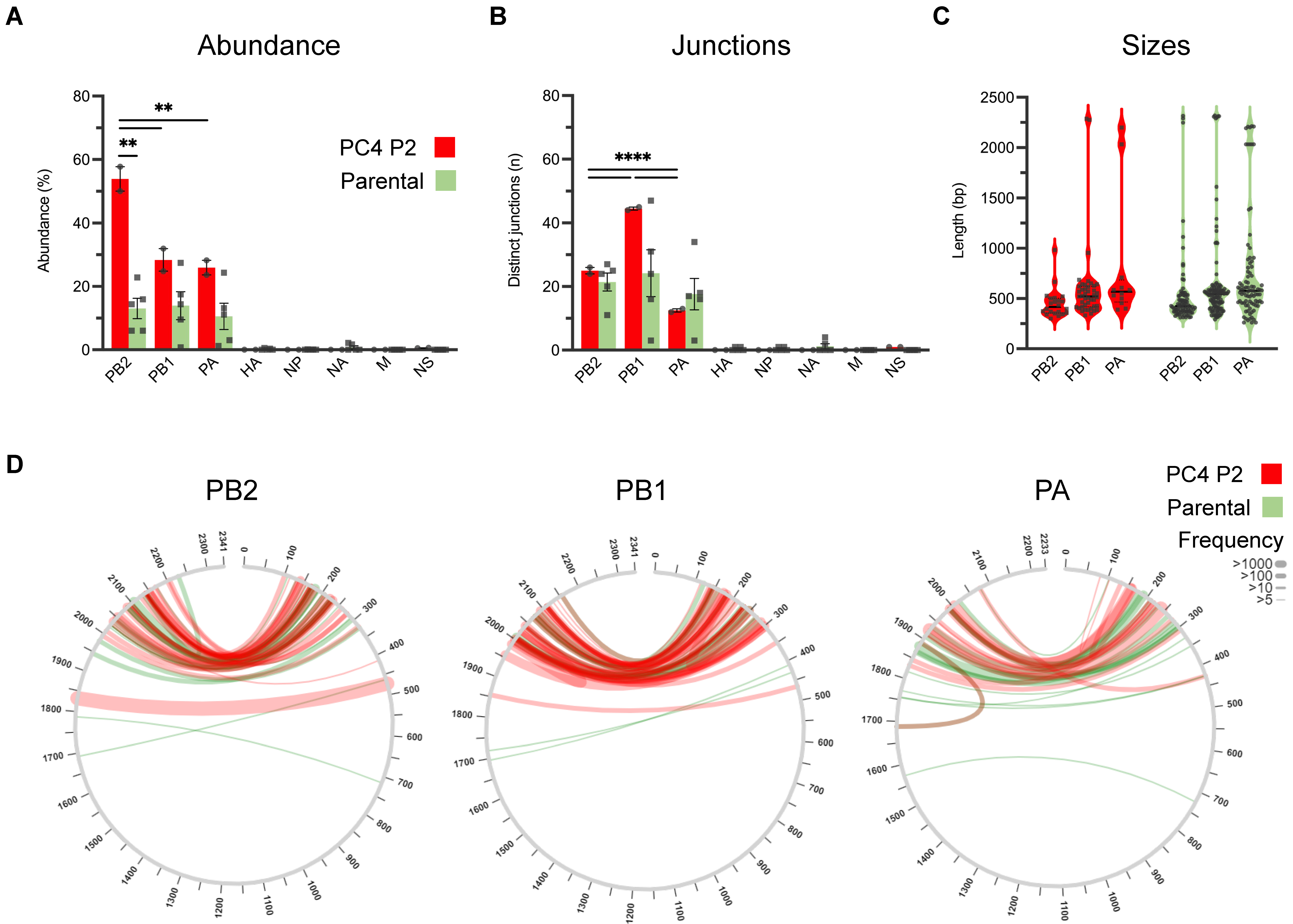 Viruses 15 02107 g004 Viruses 15 02107 g004