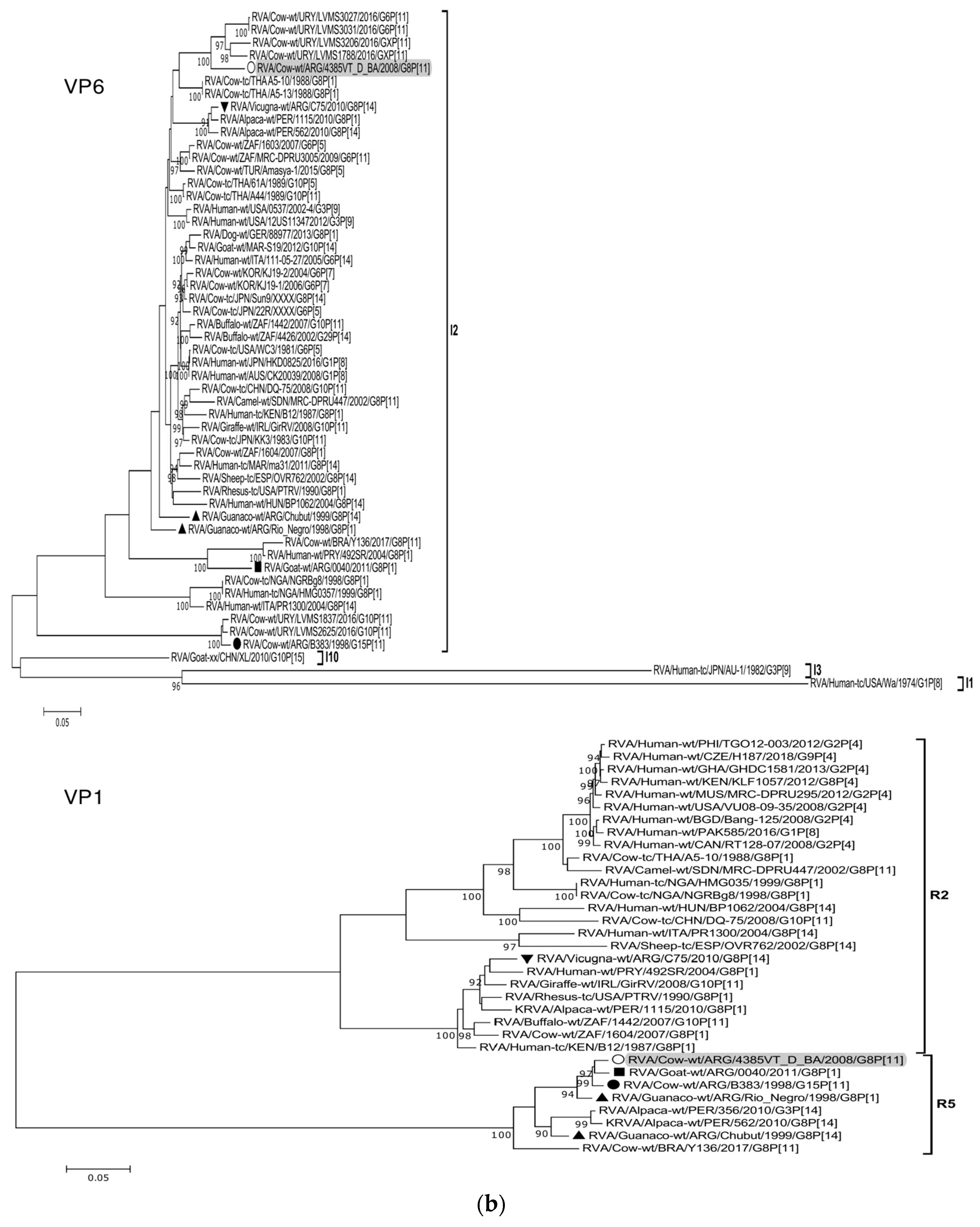 Viruses 15 02115 g002b