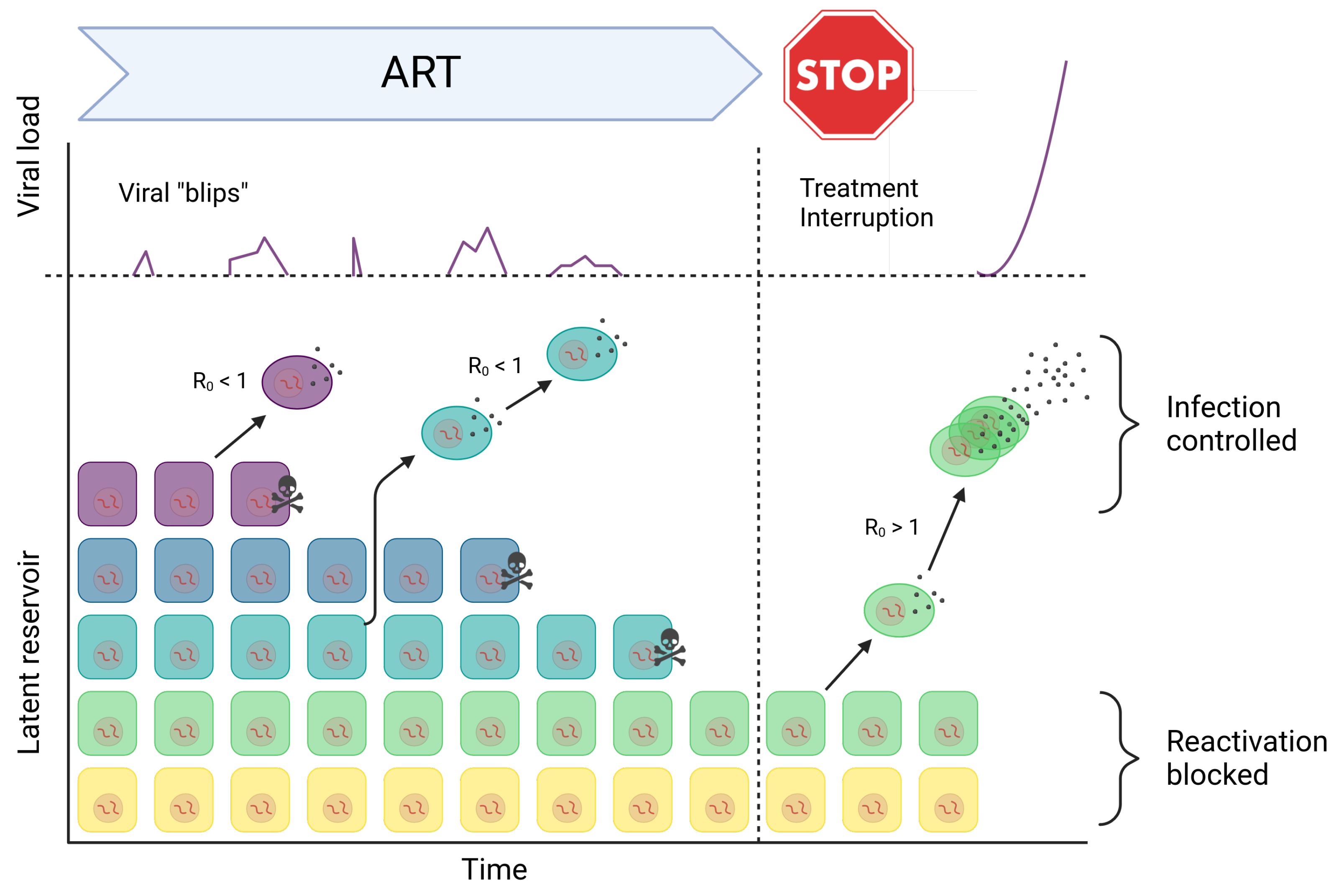 Viruses 15 02119 g003