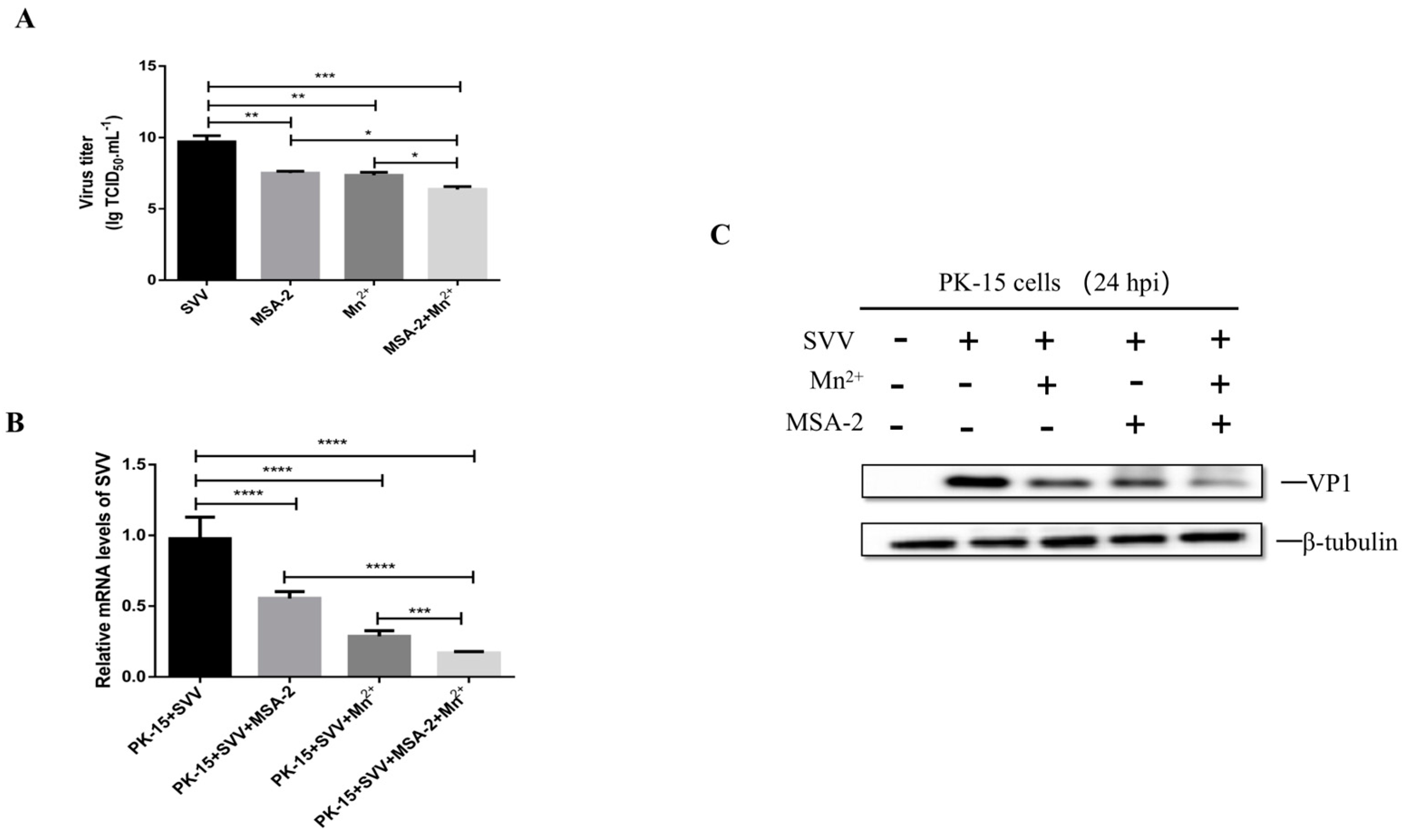 Viruses 15 02138 g007