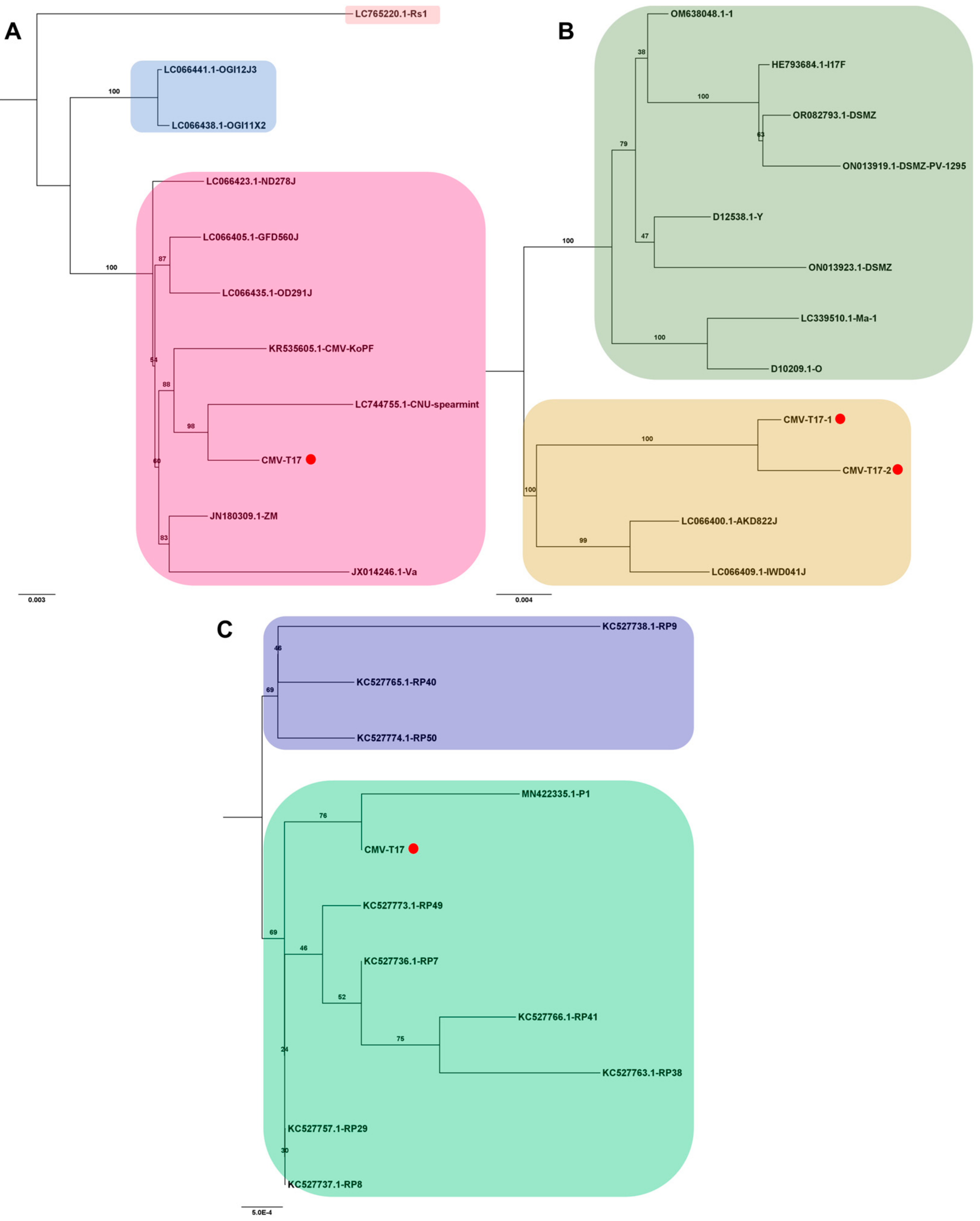 Viruses 15 02139 g008
