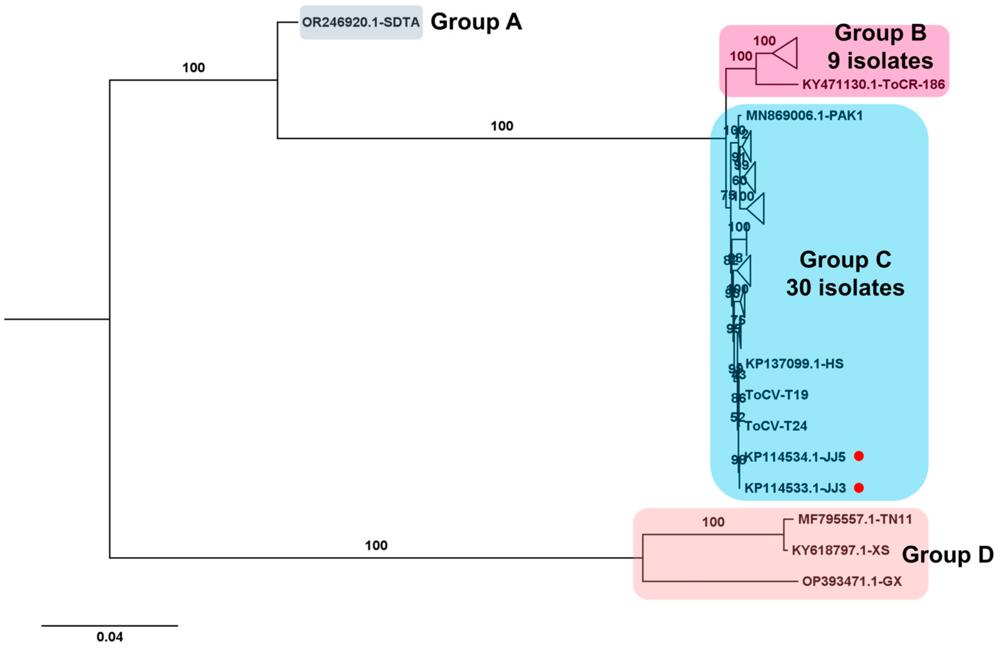 Viruses 15 02139 g009