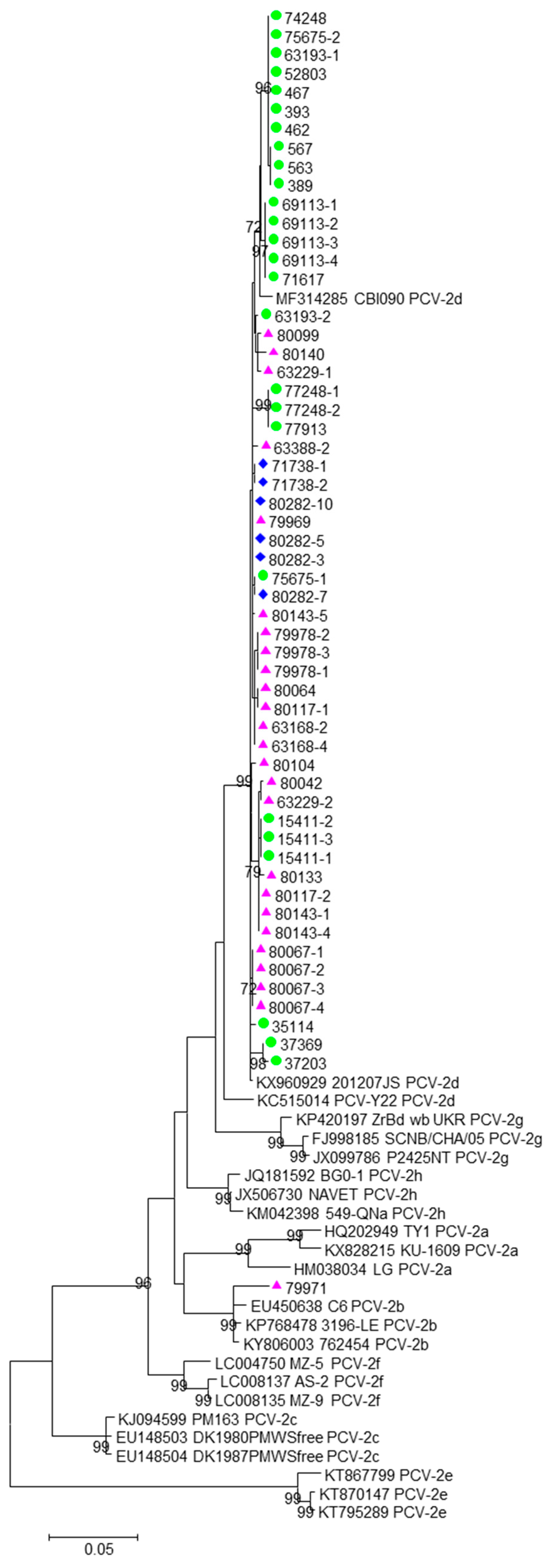 Viruses 15 02157 g001