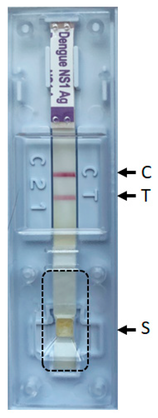 Viruses 15 02167 g001