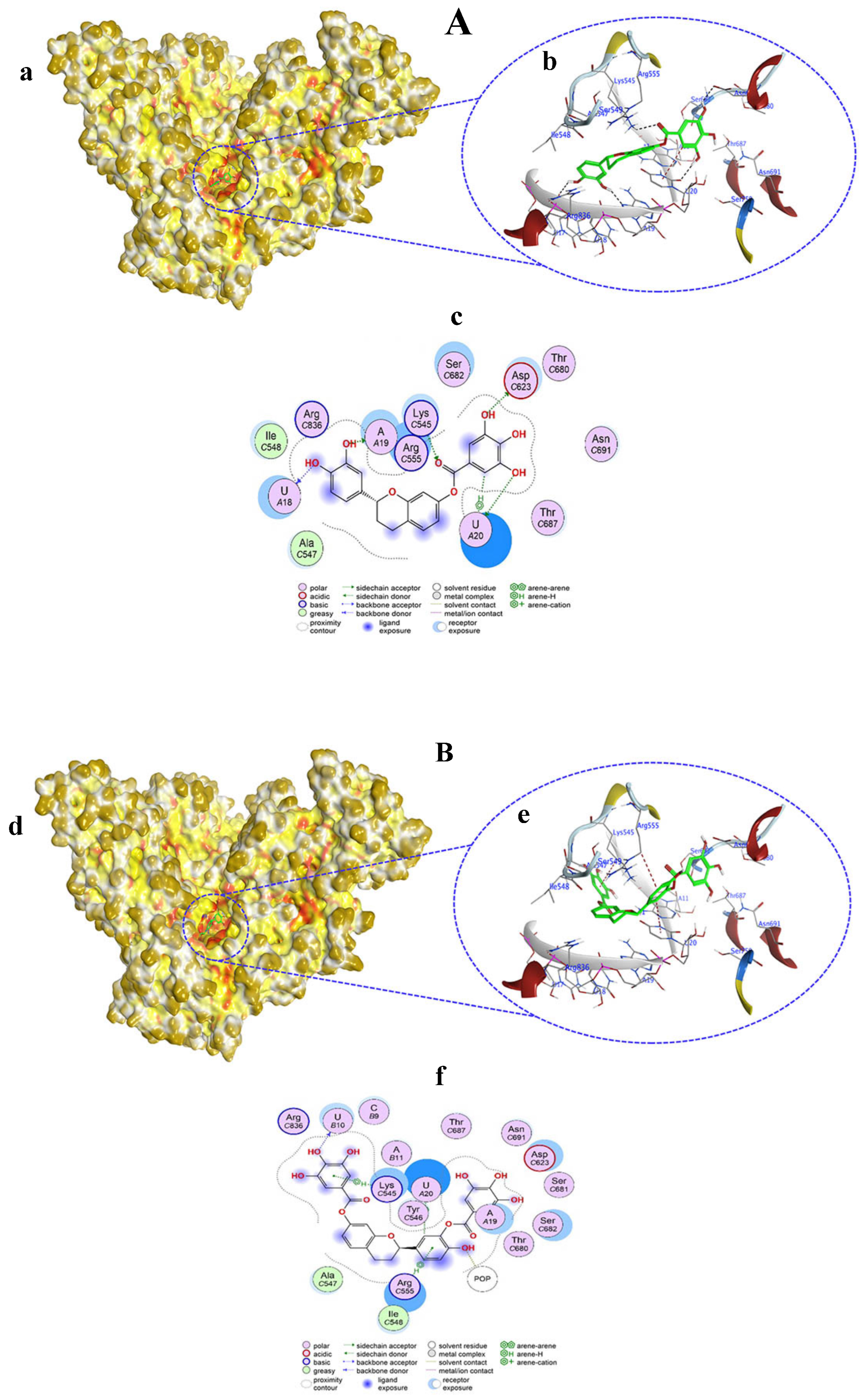 Viruses 15 02175 g003