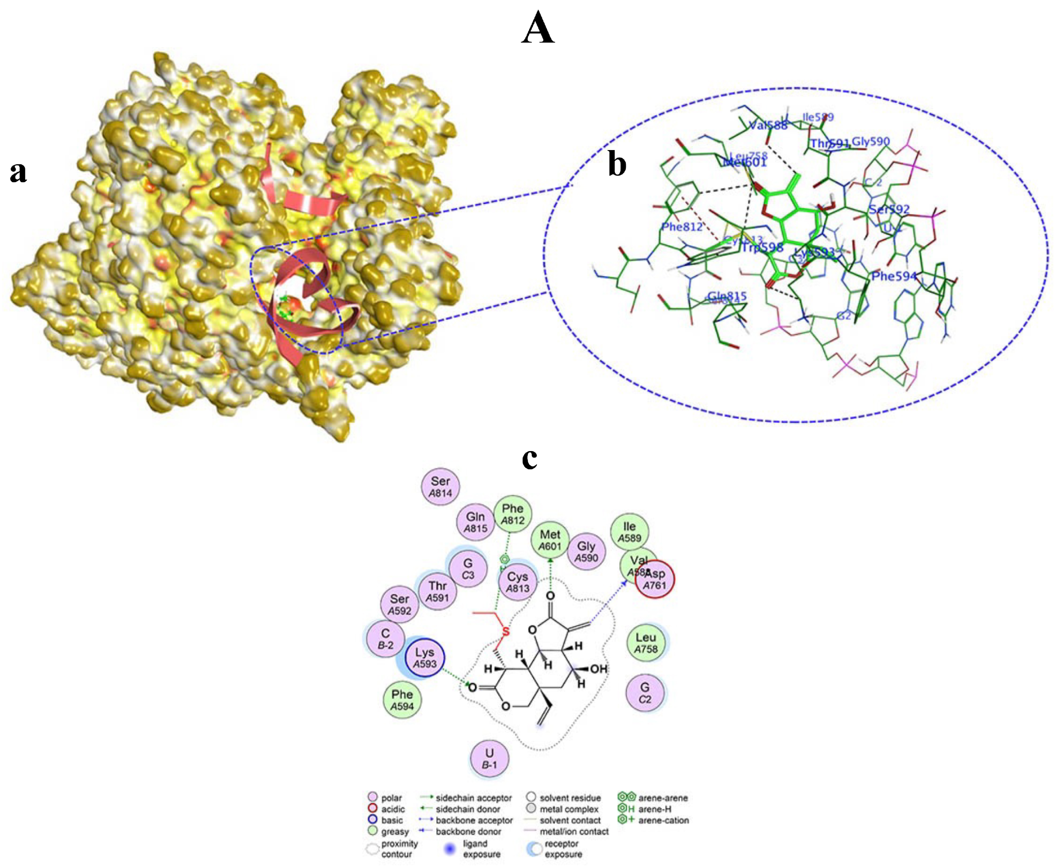 Viruses 15 02175 g008