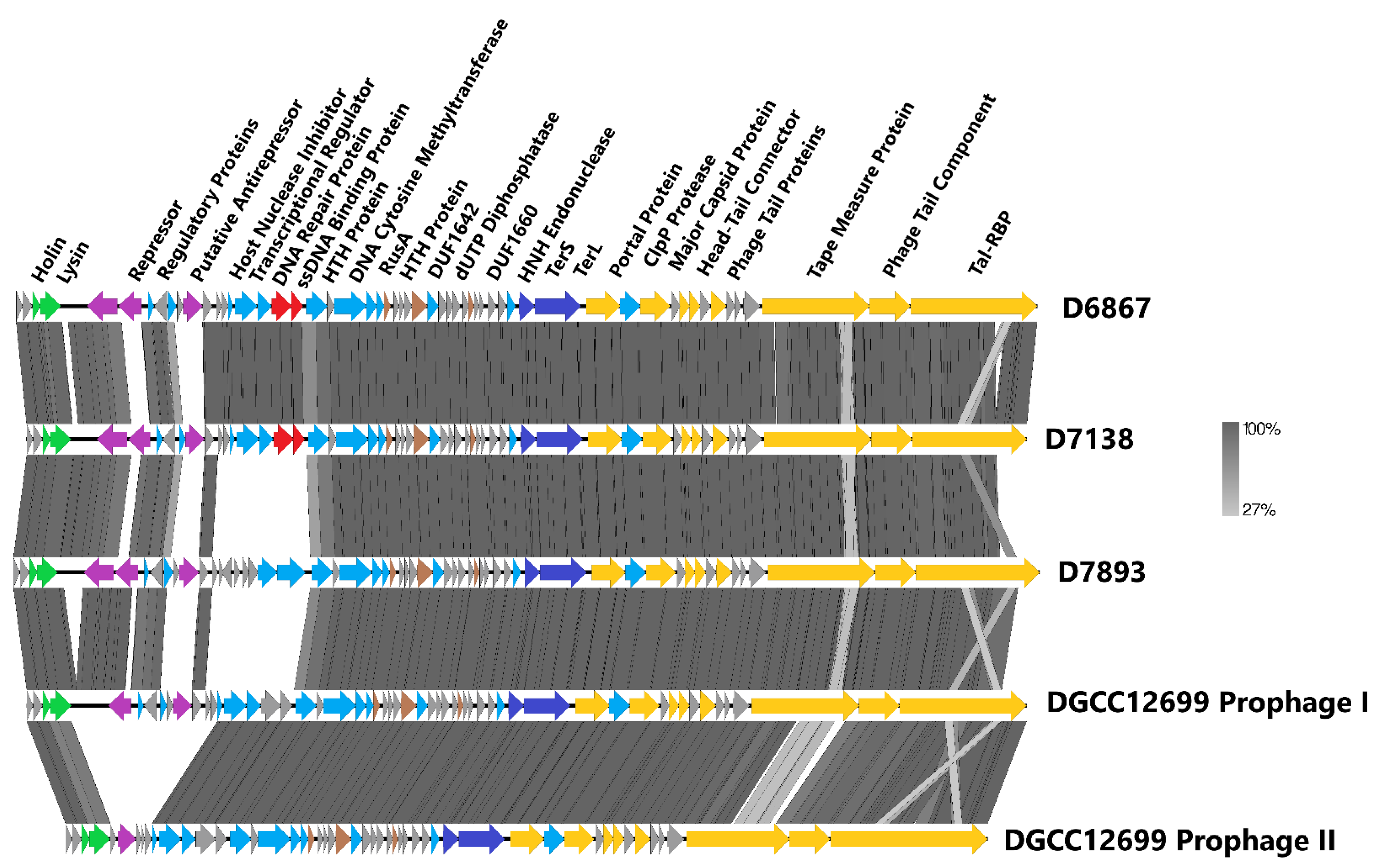 Viruses 15 02193 g002
