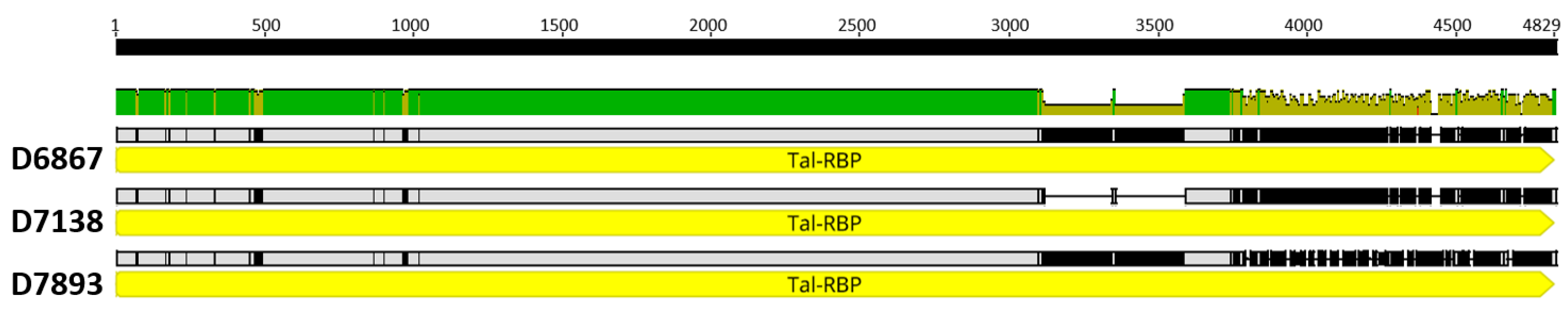 Viruses 15 02193 g003