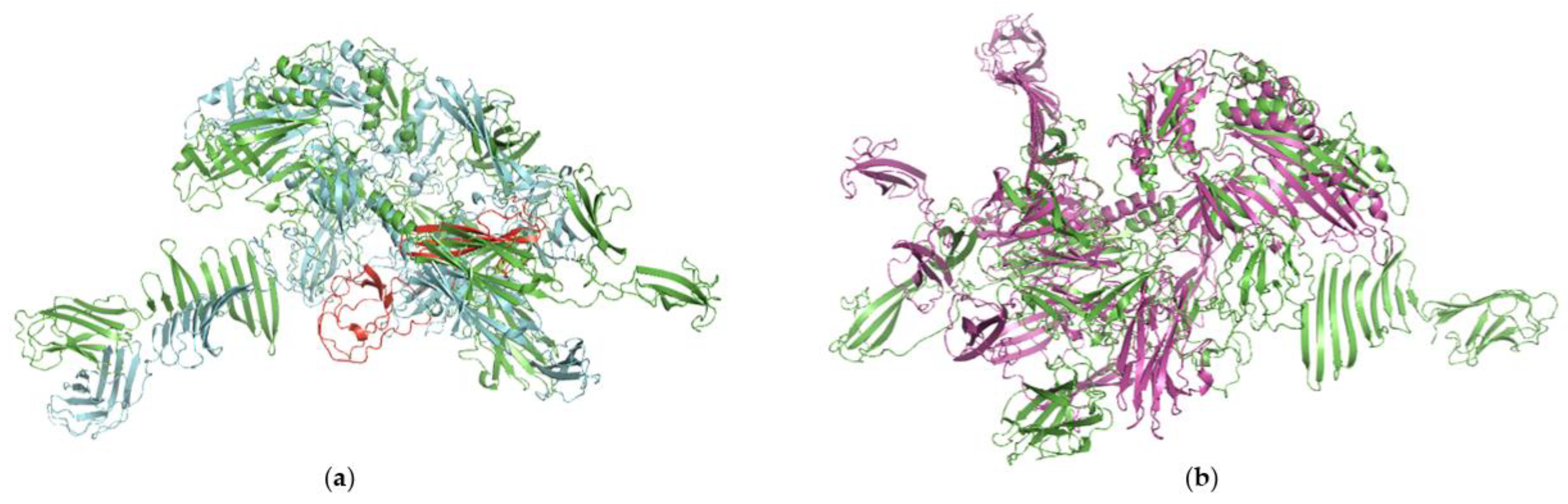 Viruses 15 02193 g004