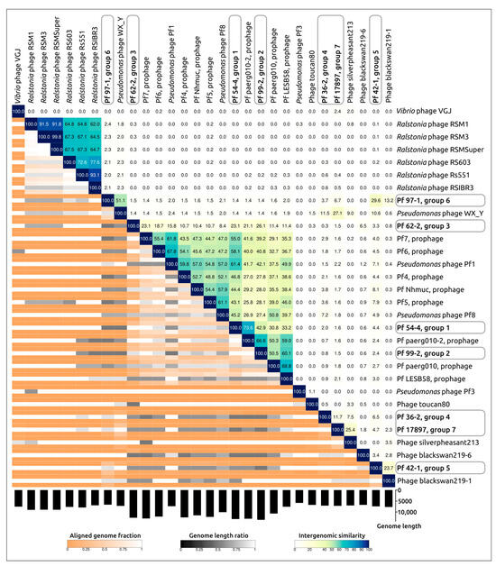 Viruses Free Full Text Analysis Of Pseudomonas Aeruginosa Isolates From Patients With Cystic