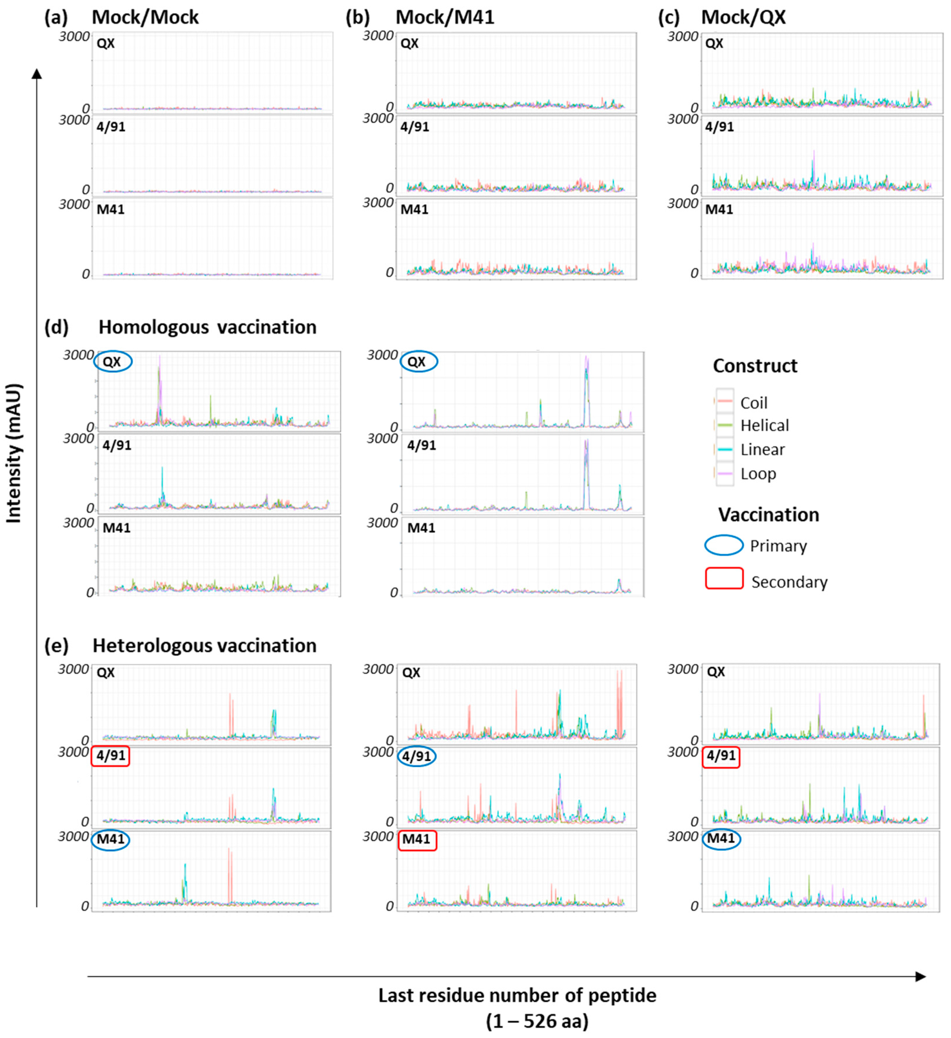 Viruses 15 02279 g002