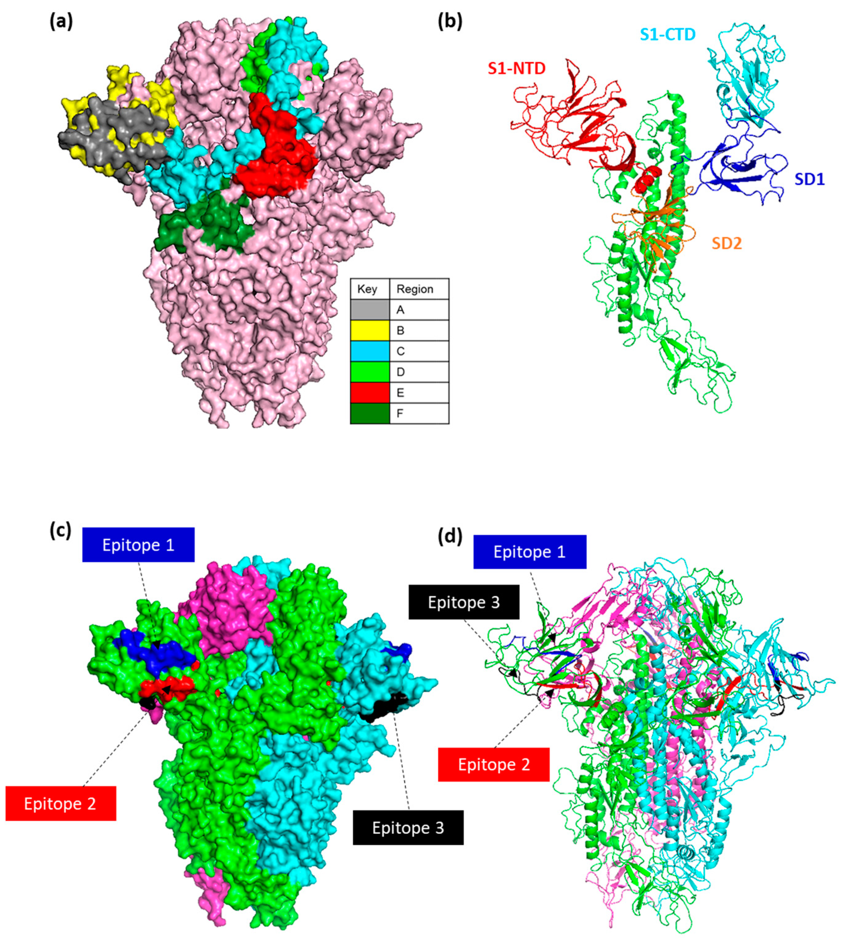Viruses 15 02279 g005