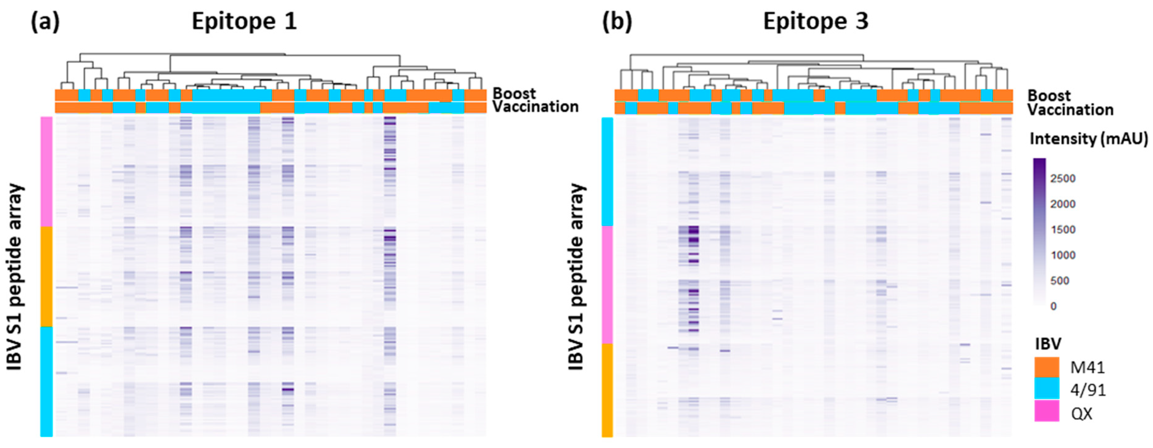 Viruses 15 02279 g007